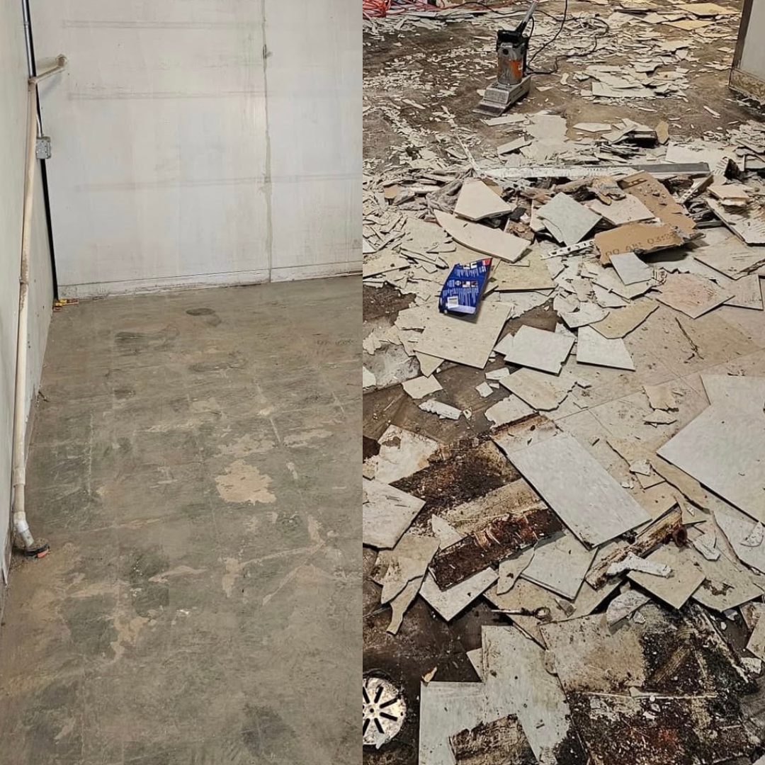 Untitled design (79).png