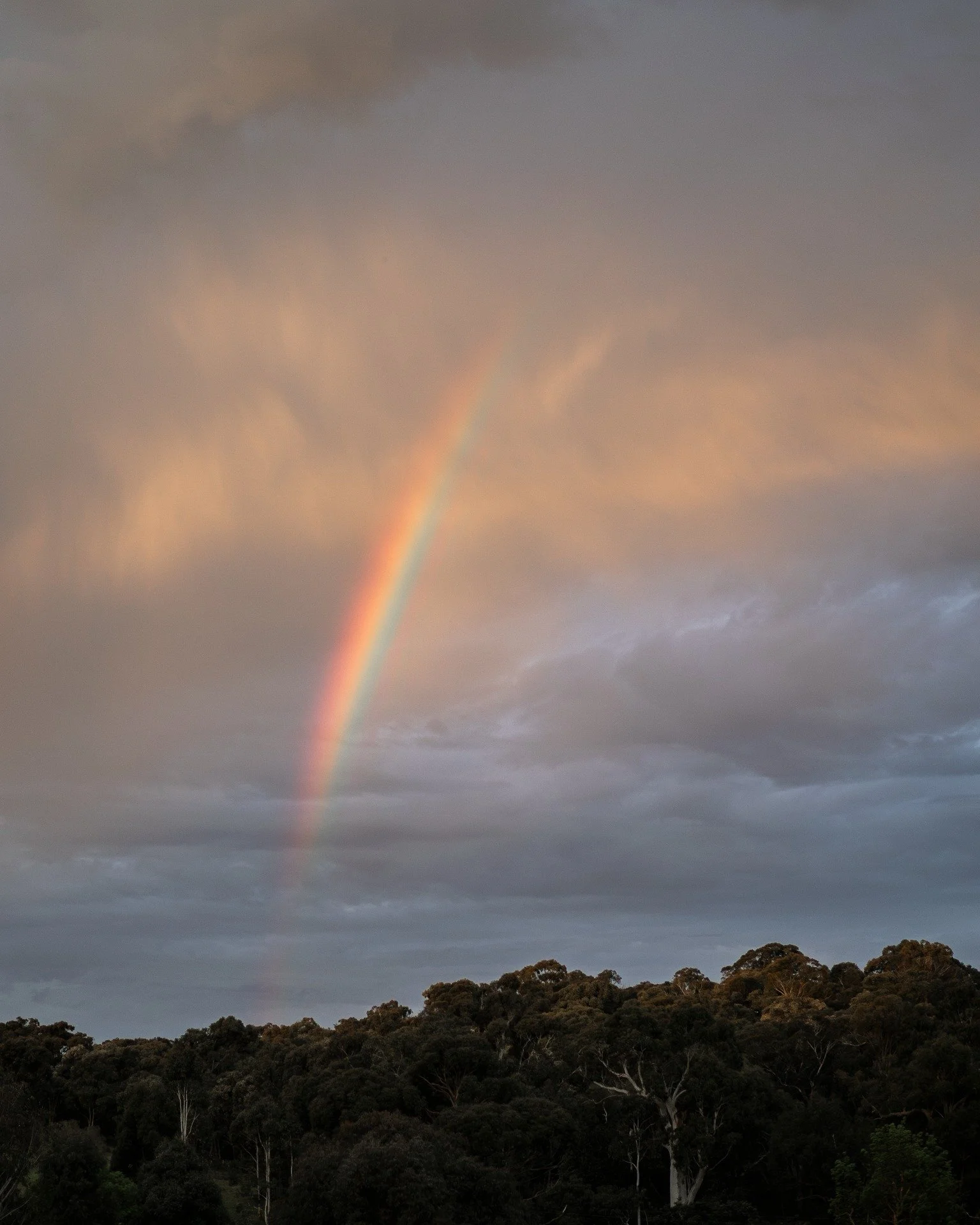 What is better than one rainbow?...

Two rainbows...

Never tire of the beauty of this country...
