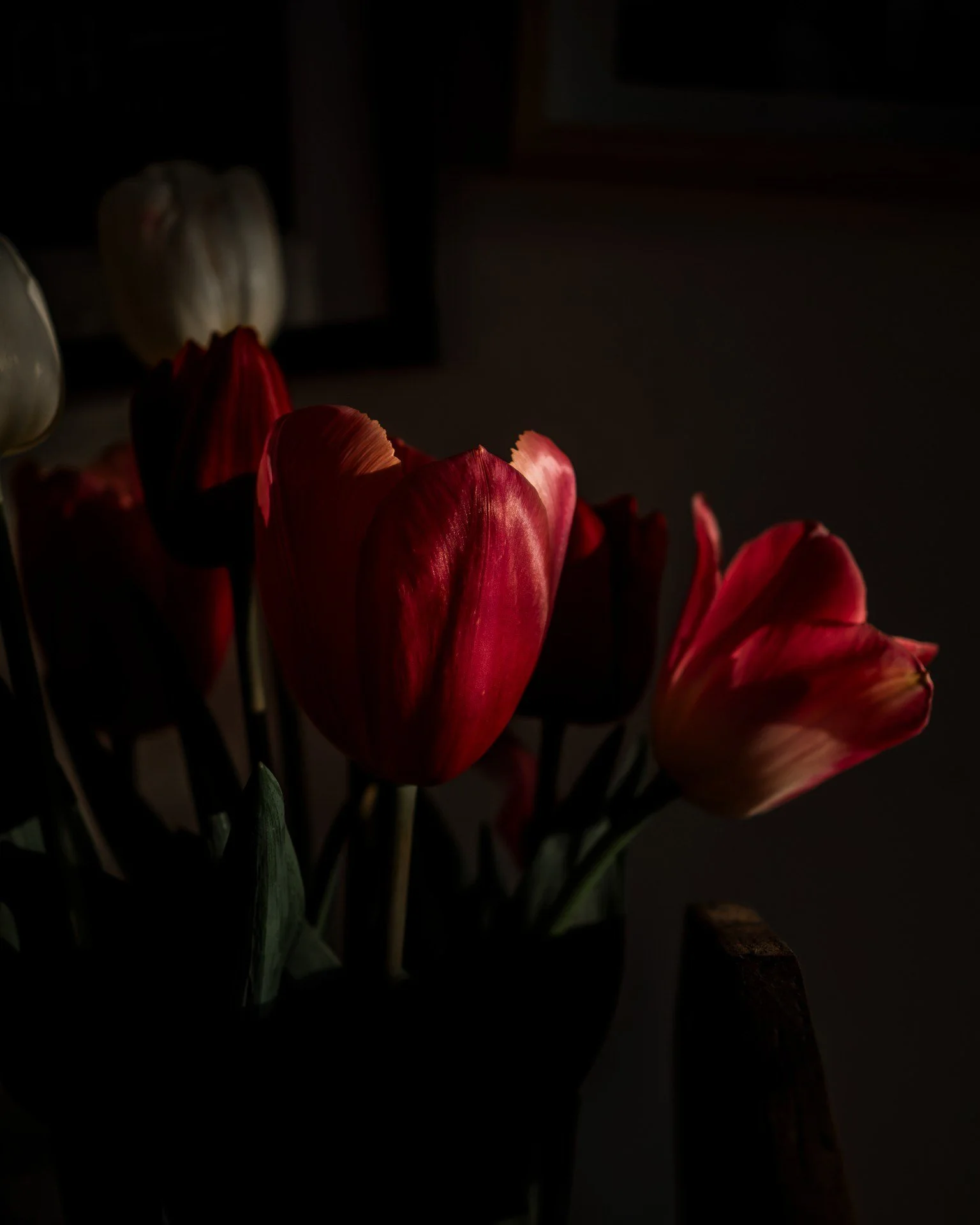 Flowers inside in the evening light...