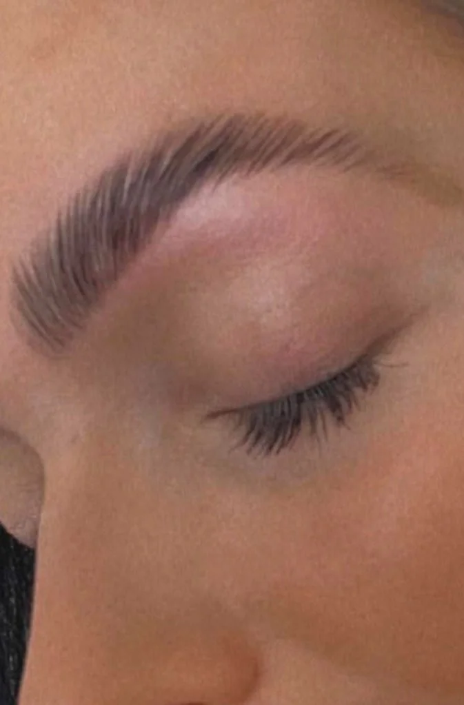 Brow lamination course