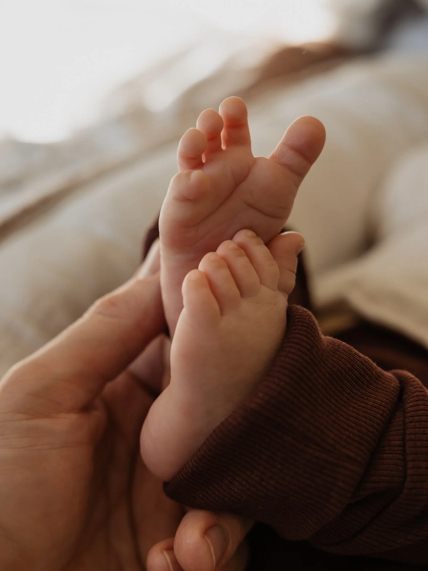 Teeny tiny toes 🧡👶🏽

Some cute detail shots of little Indy. 

#newborn #detailshots #newbornphotography #newbornfotograaf #newbornfotograafbrabant