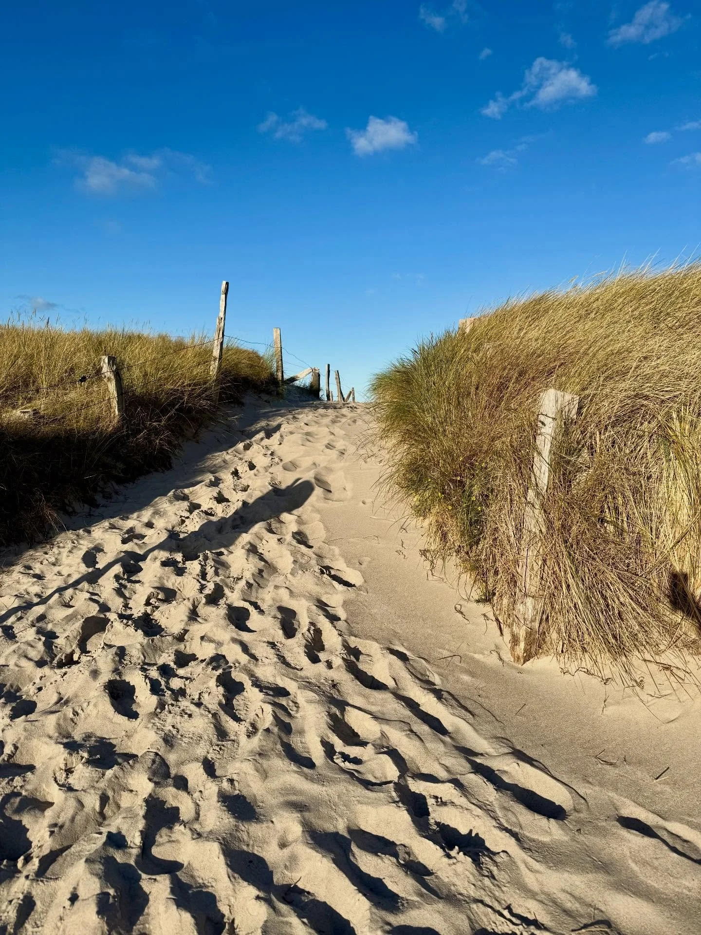 Unterwegs auf dem Graswarder-Heiligenhafen 🌞