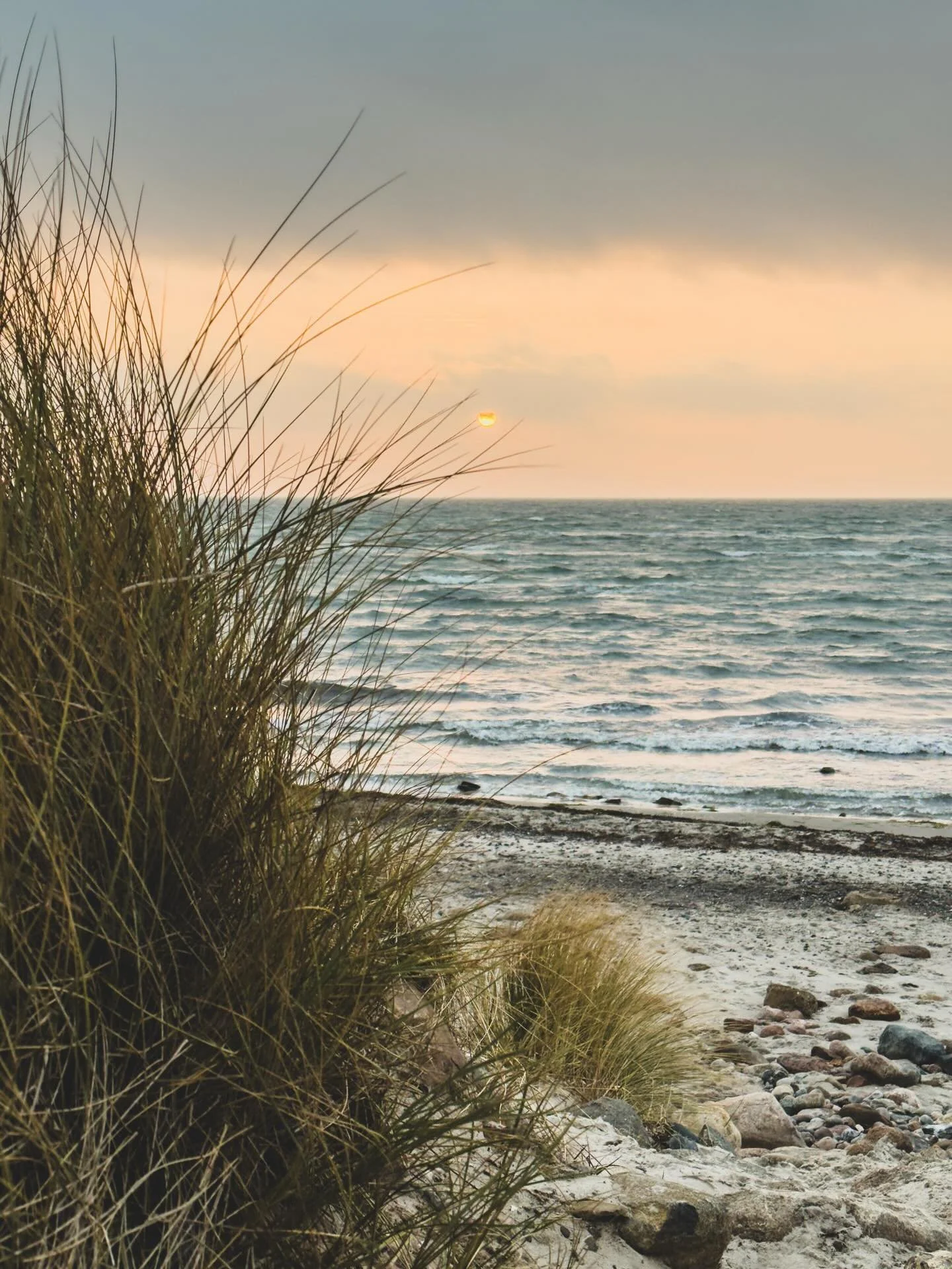 Sonnenaufgangsrunde am Naturstrand Klostersee bis zum Kloster in Cismar 🌞 knapp 17km und etwas &uuml;ber 4 Stunden Gehzeit.