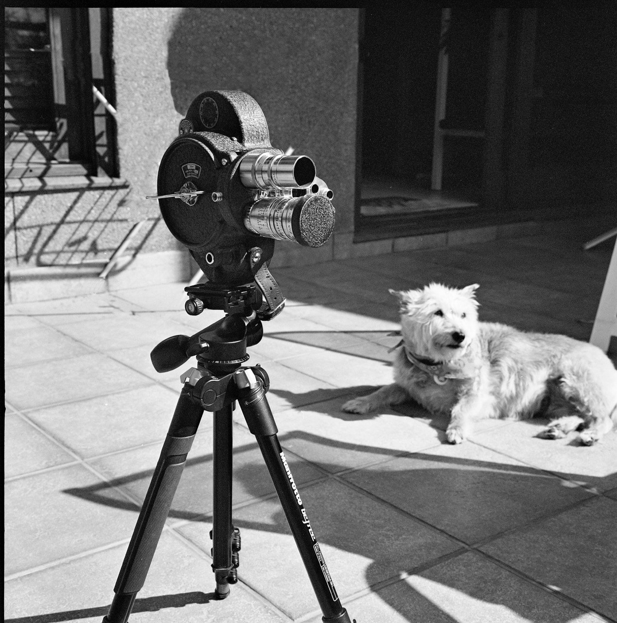 Bell Howell Filmo 70DL 1940 por Rolleiflex 3.5 E (type 2) 1957