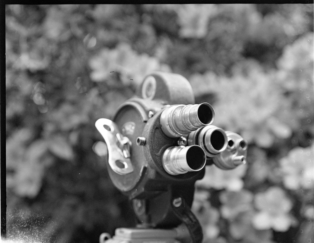Bell Howell Filmo 70DA 1931 por Rolleiflex 3.5 E (type 2) 1957