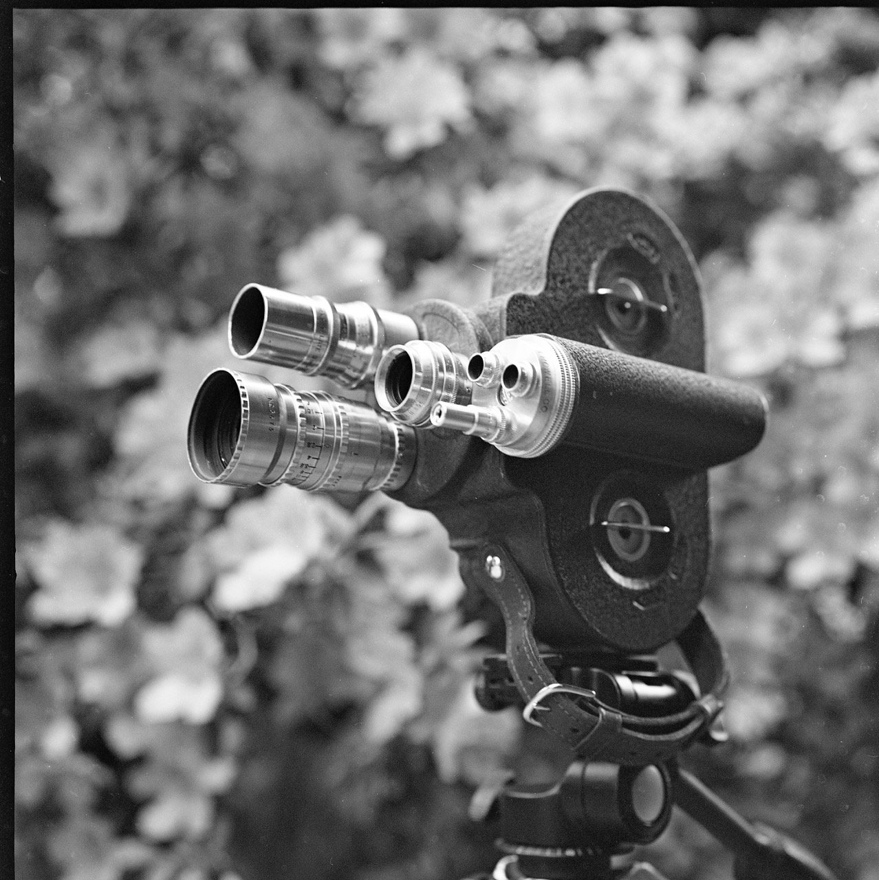 Bell Howell Filmo 70DL 1940 por Rolleiflex 3.5 E (type 2) 1957