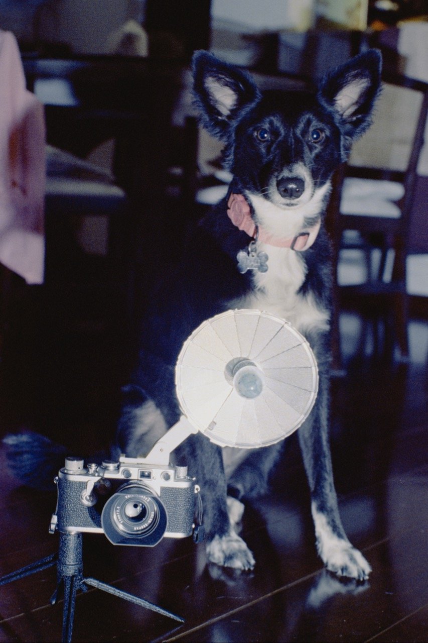 2025-01 MXD5 Cine500 Trem Antiq Cameras Kali 03 Grande.jpeg