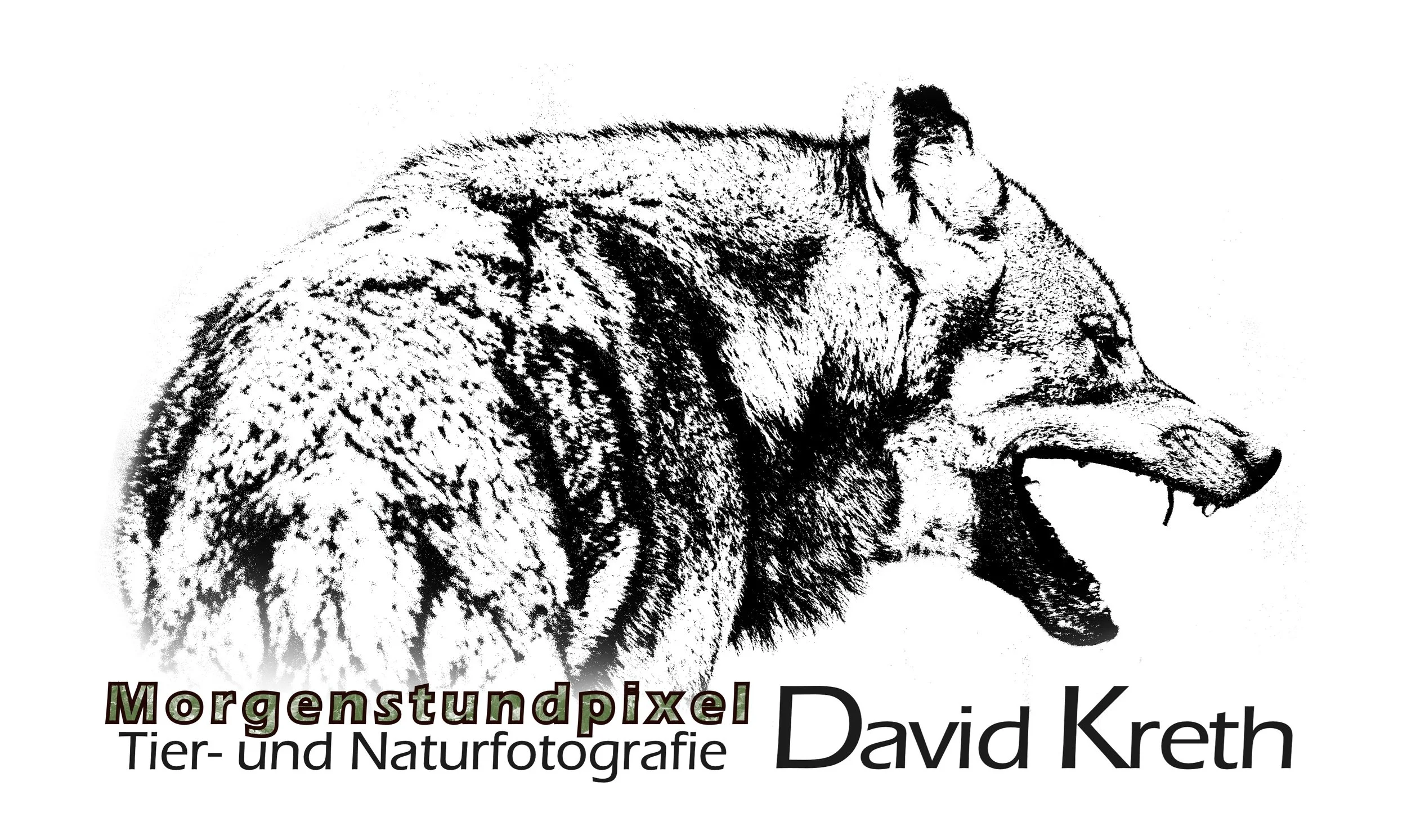 Tierfotografie/Naturfotografie/Landschaftsfotografie/Foto