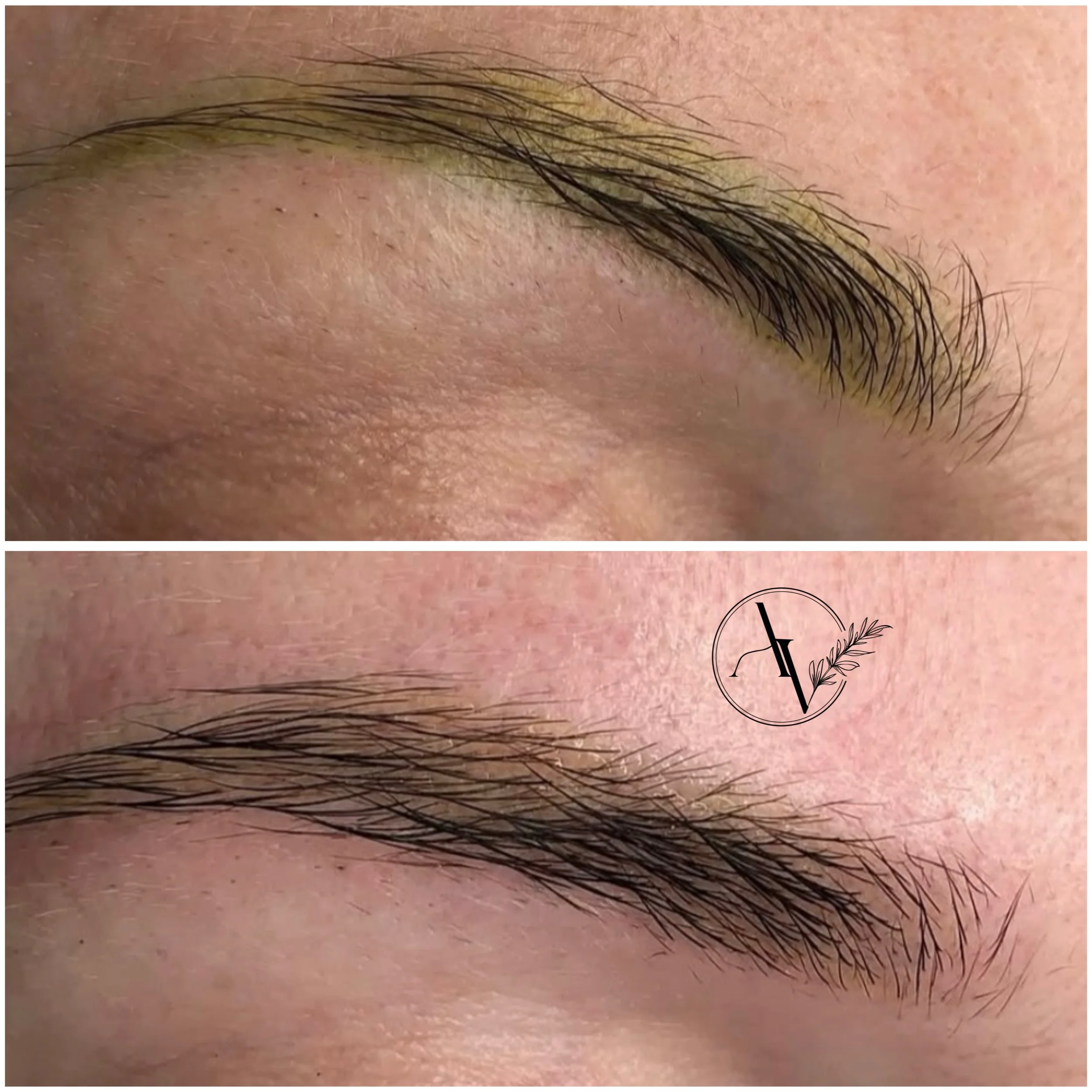 8392274F-1989-4A29-A1C6-B9542FB6C0BA 2.JPEG