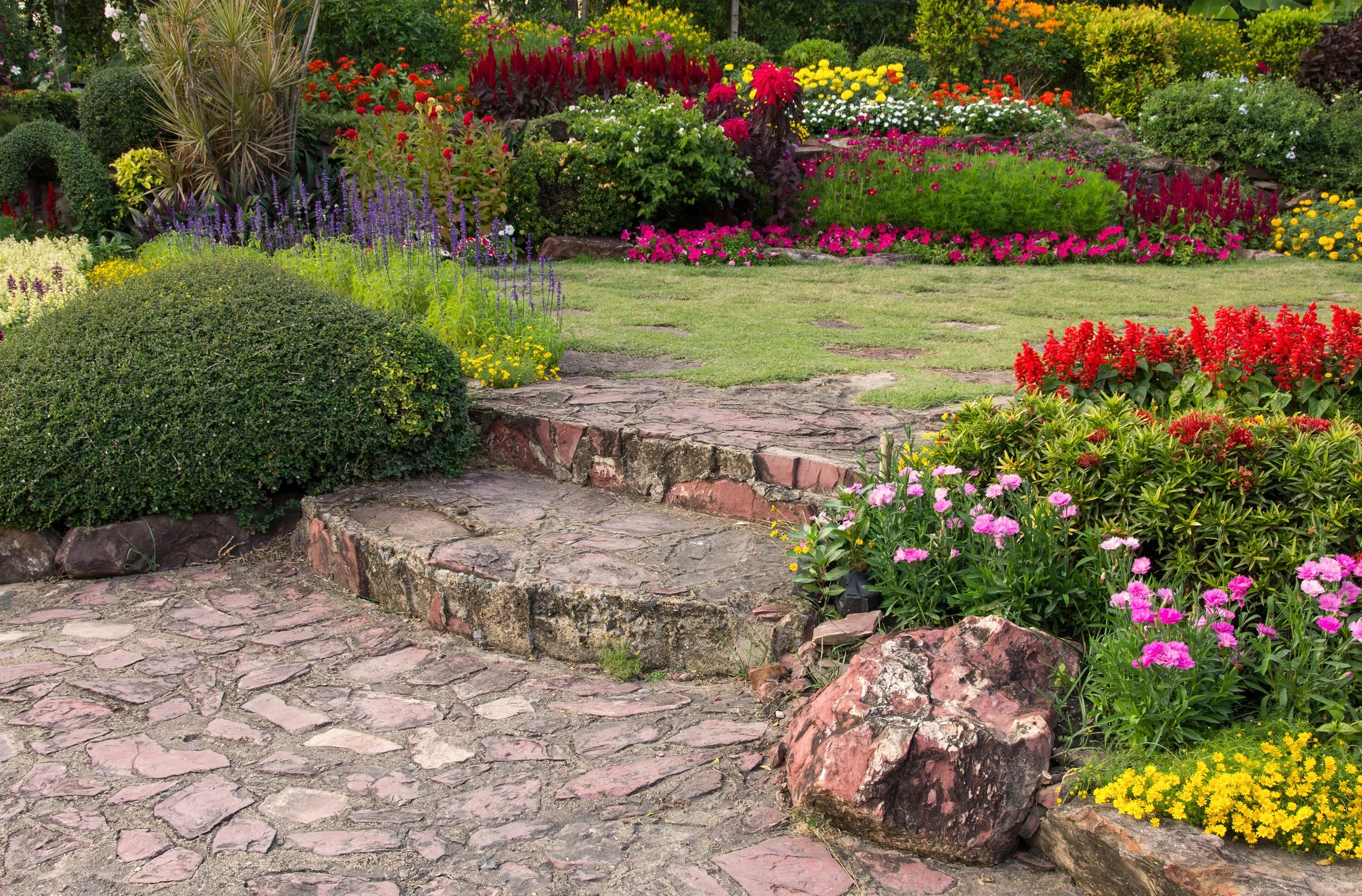 Colorful garden with a stone pathway, lush bushes, and abundant flowering plants in red, pink, yellow, purple, and white.