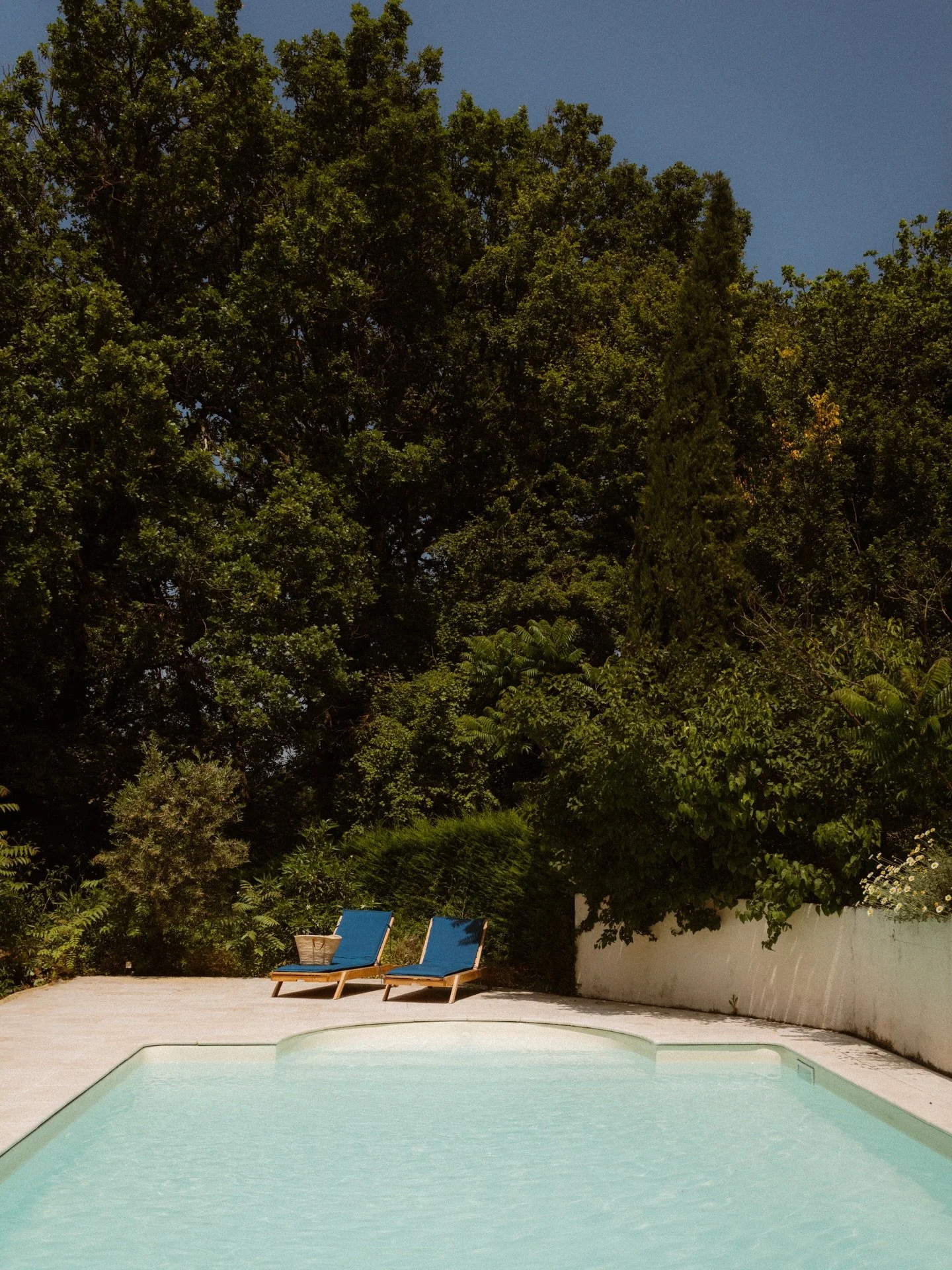 Swipe for a tour of our home in France for our May retreat! 👀

🌸🌺💐🌷🌻 Set on sixteen acres of woods, rewilded meadows, and flowering gardens, this place is a little slice of heaven - fully immersed in nature, where time slows down.

The restored