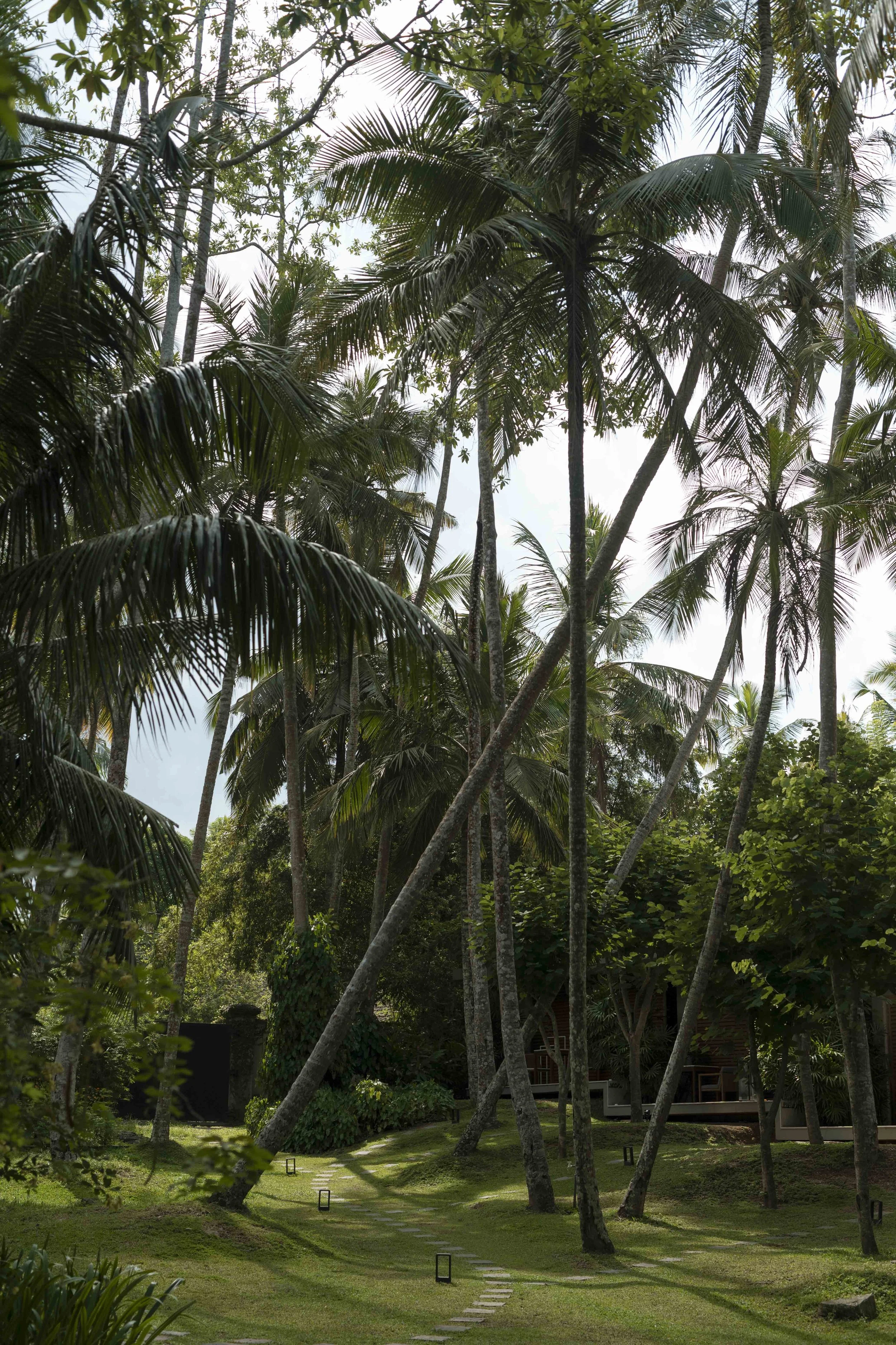 KuruluBaySriLanka050424_NateleeCocks_136.jpg