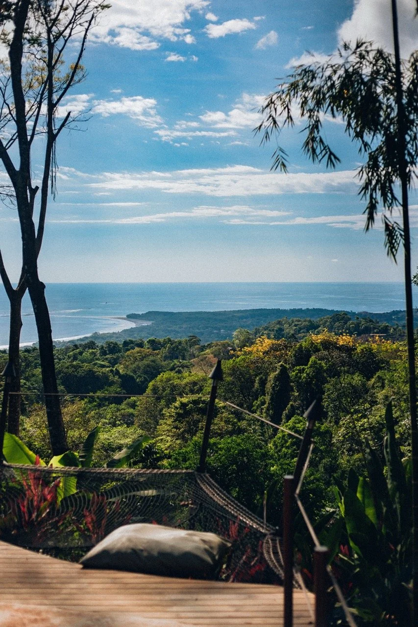 IMG_2206 building Large.jpeg