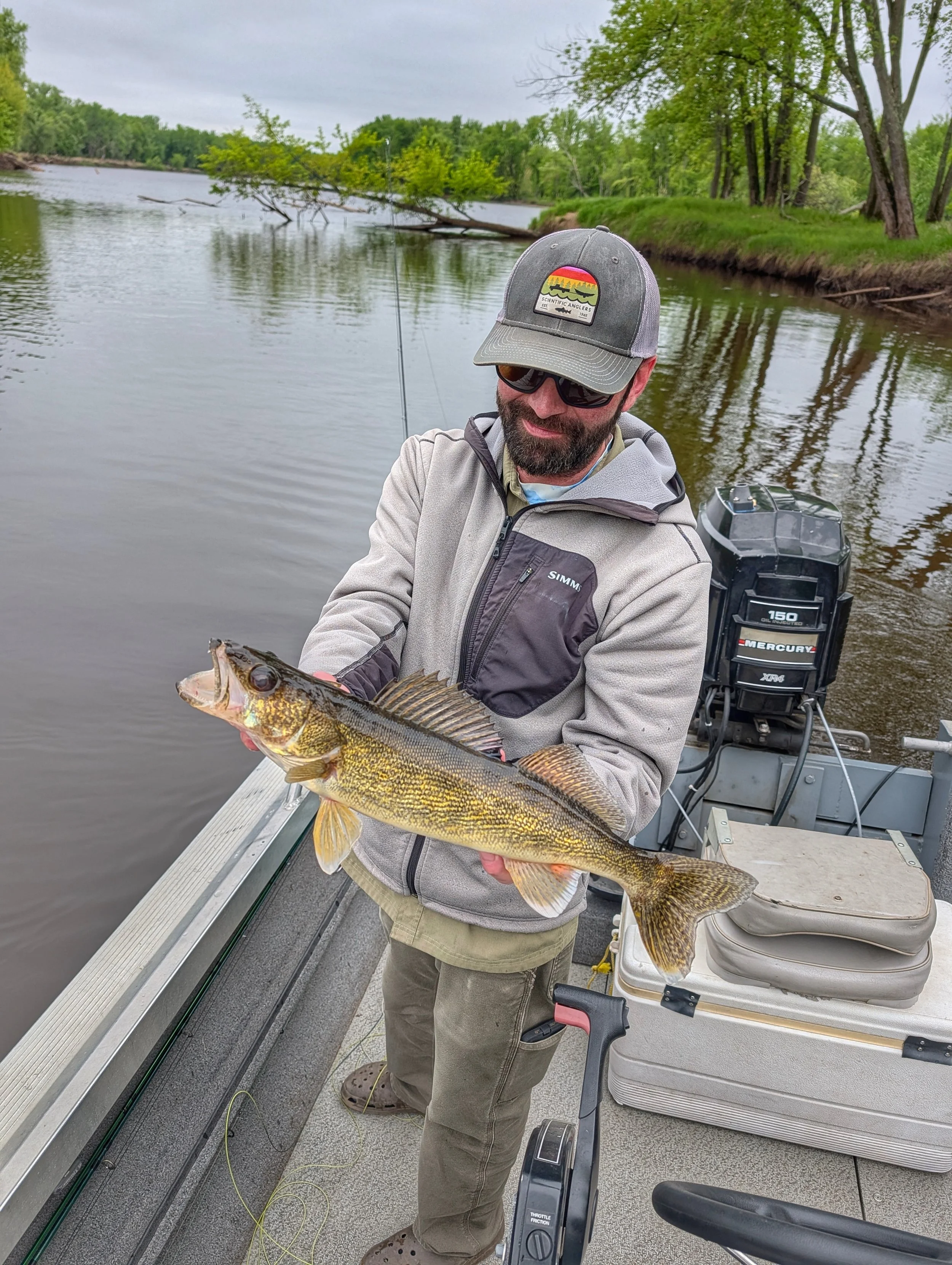 Walleye 