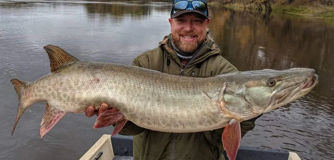 musky fly fishing 
