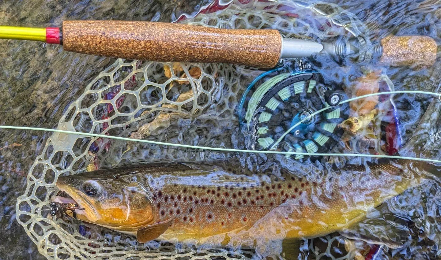 fishing guide river Falls Wisconsin 