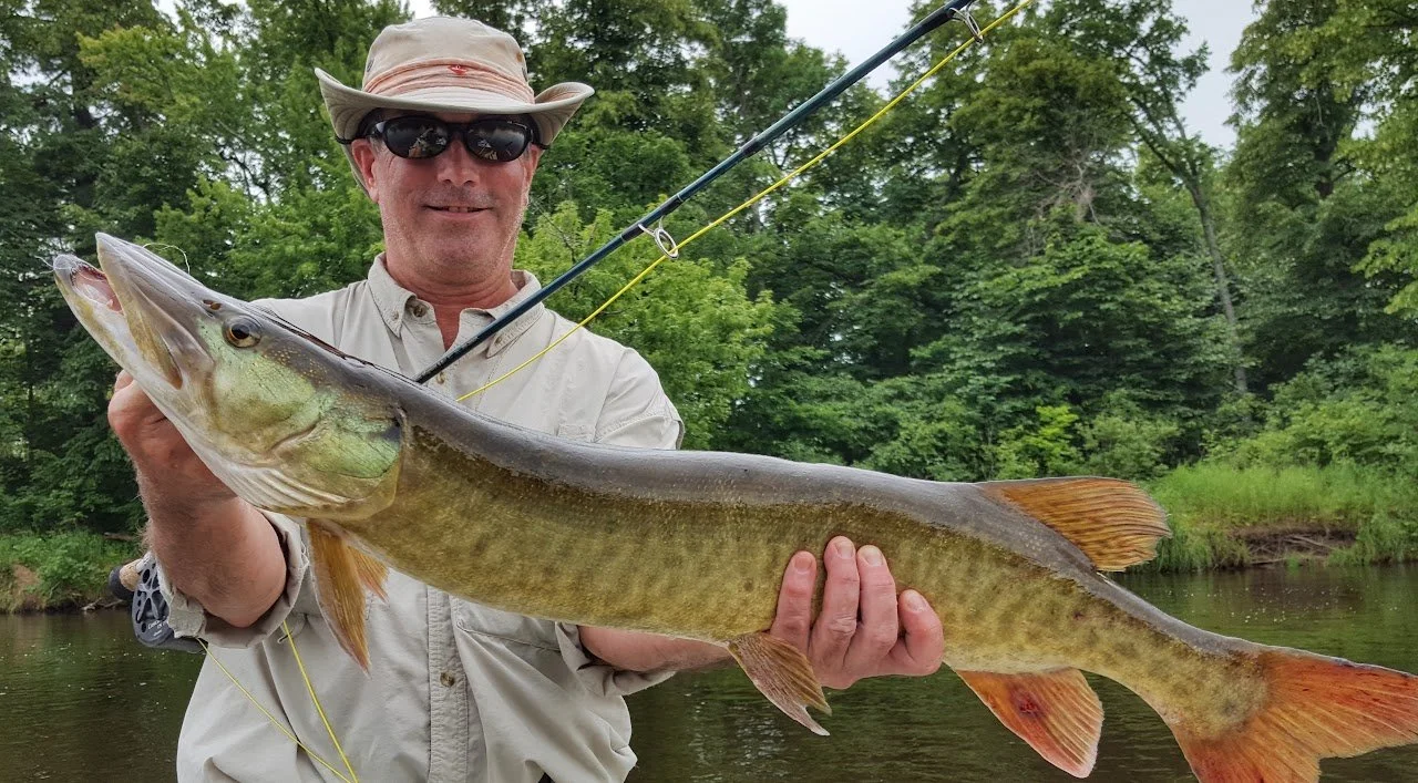 musky fly fishing river falls Wisconsin 