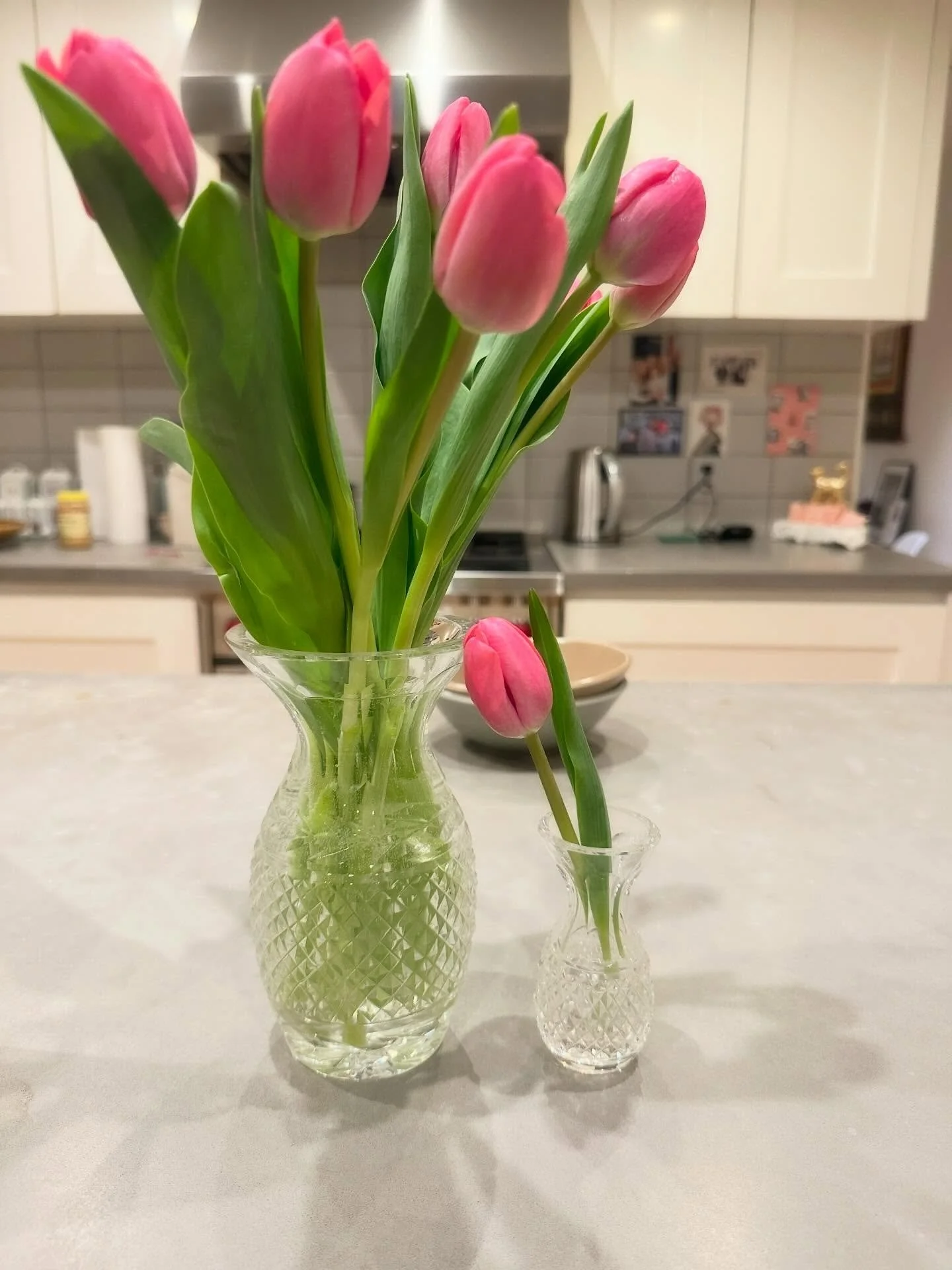 APRIL 🌸 Proof of Life&hellip;
&bull;
&bull;
This was a long, soul searching kind of month. Full of beauty, connection, visiting friends old and new, family, food, and of course my work. 

Here&rsquo;s to more. Because in the searching comes the ligh