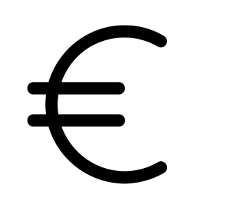 Euro currency symbol icon