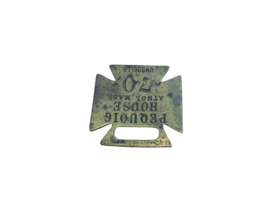 IMG_20250129_104719-removebg-preview.png