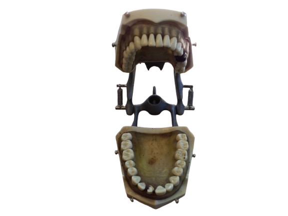 IMG_20250110_133604-removebg-preview.png