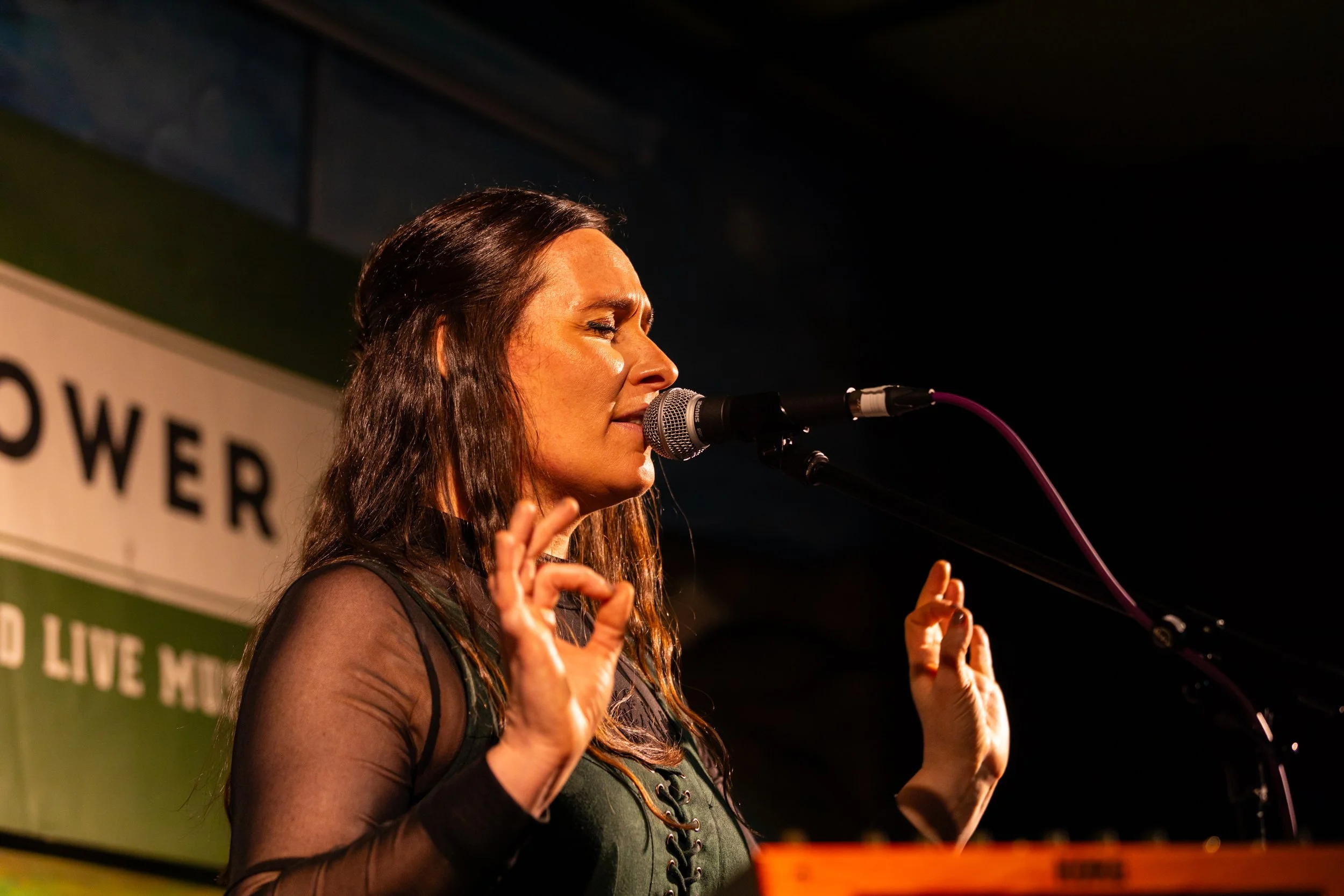 TIA BOW_SUNFLOWER_JG_002.jpg