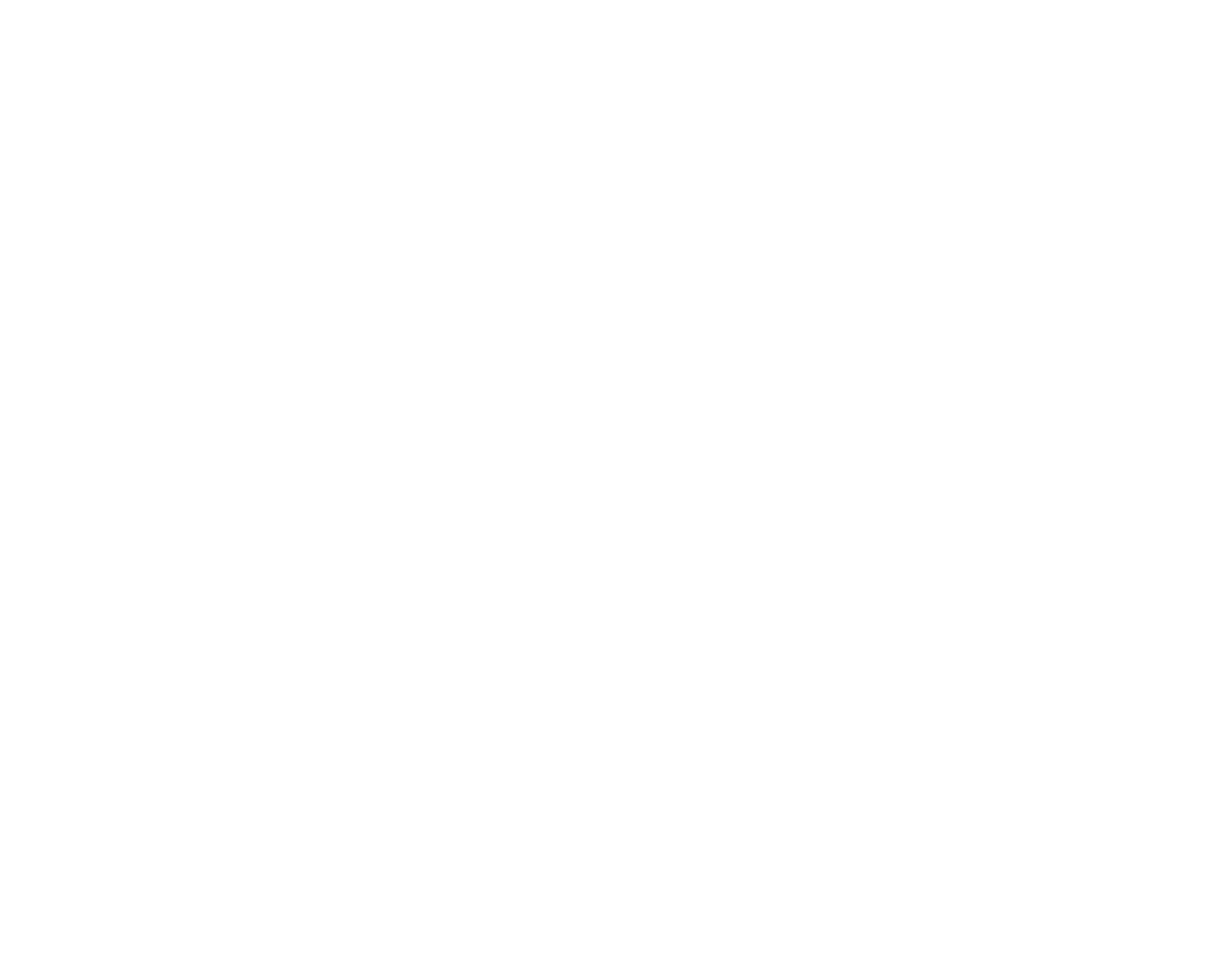 Radically Open Connections Logo