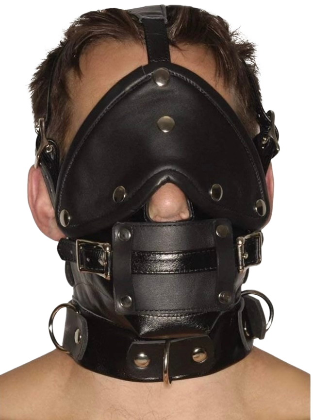 f909fe2b-1a24-41e1-92cb-c20ab024c79d.png