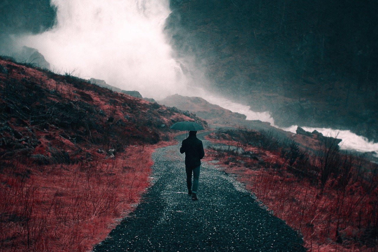 No One is Brave