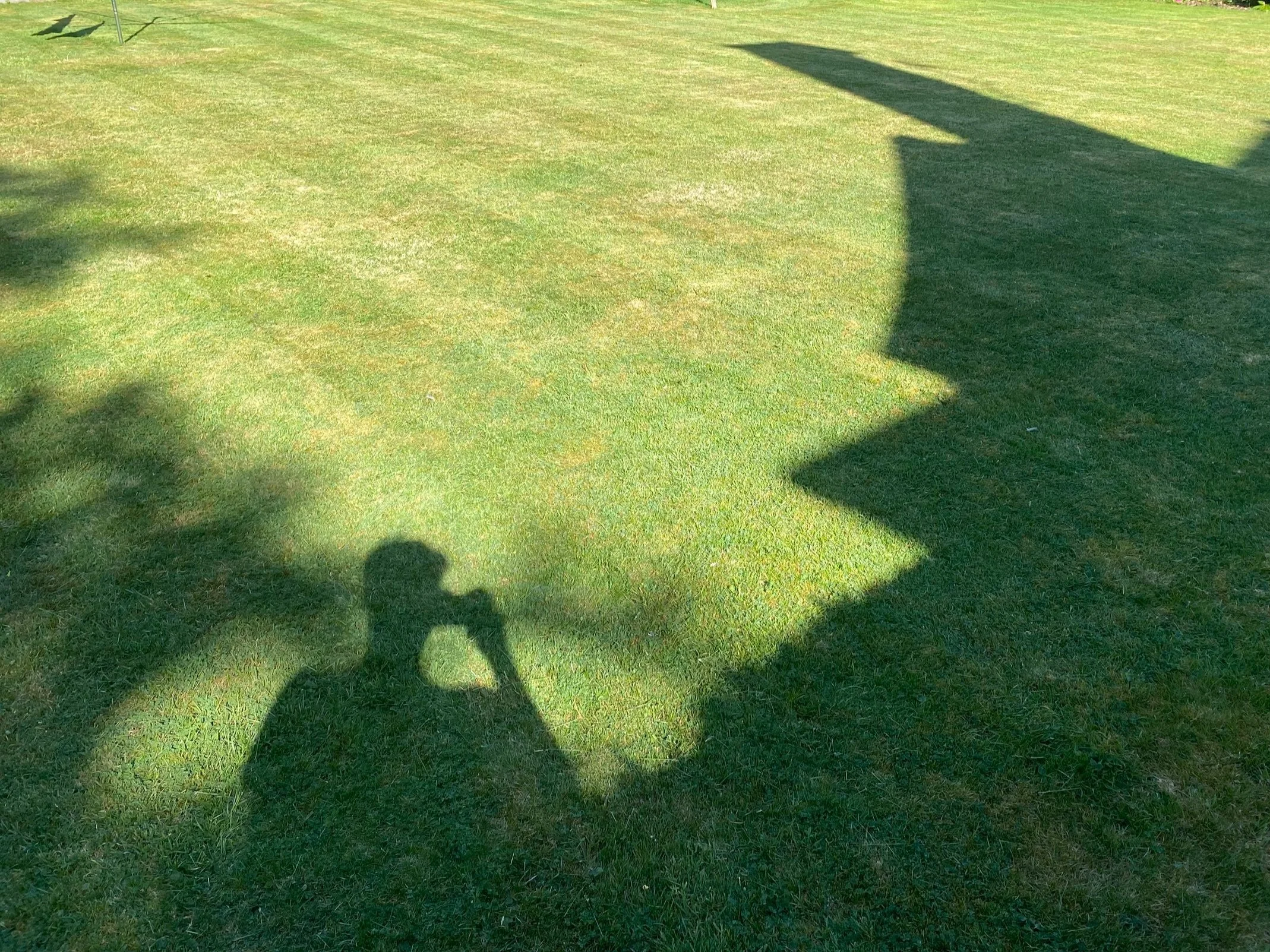 Shadow of a person taking a photo on a grassy field with large shadows of buildings and trees.