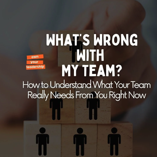 What's Wrong With My Team?