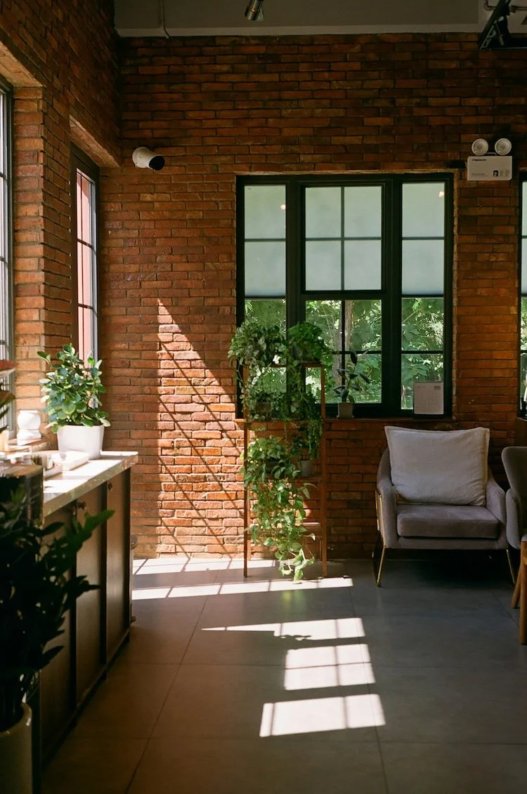 Brick lined space with window and doors, and green plant.