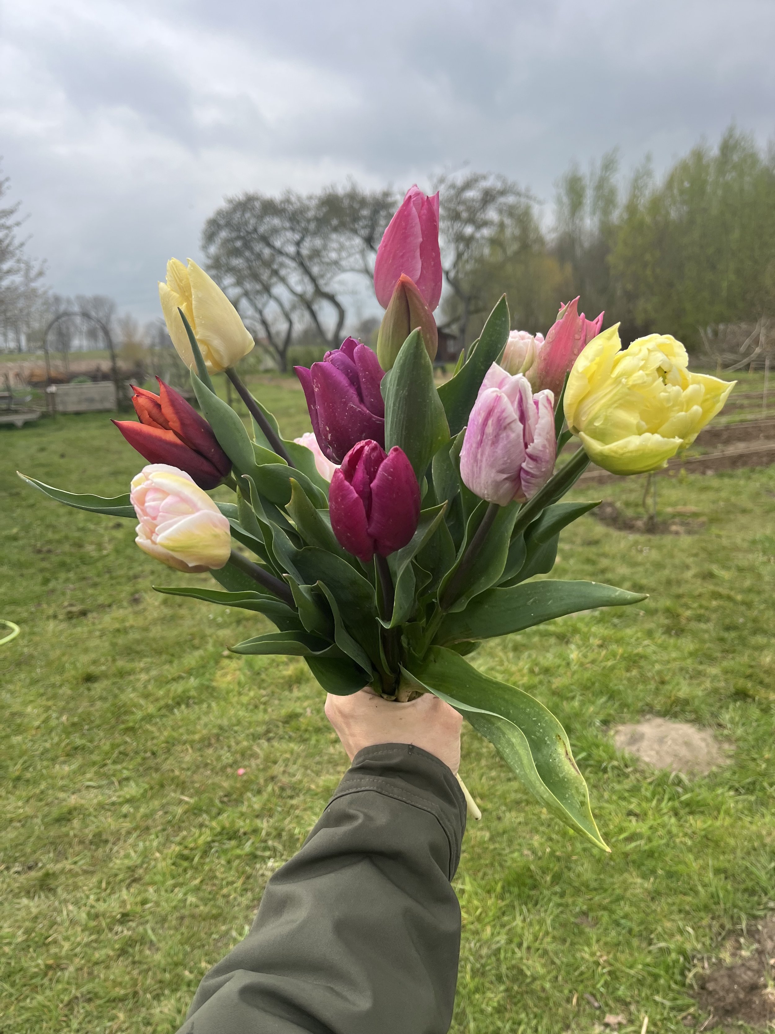 Tussen twijfel en groei: wanneer de lente alles in beweging zet