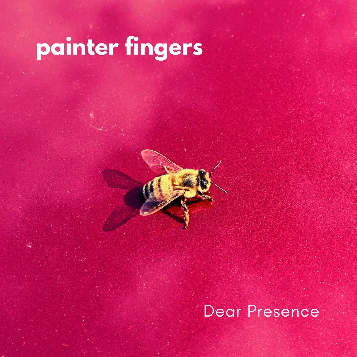 Painter Fingers - Dear Presence