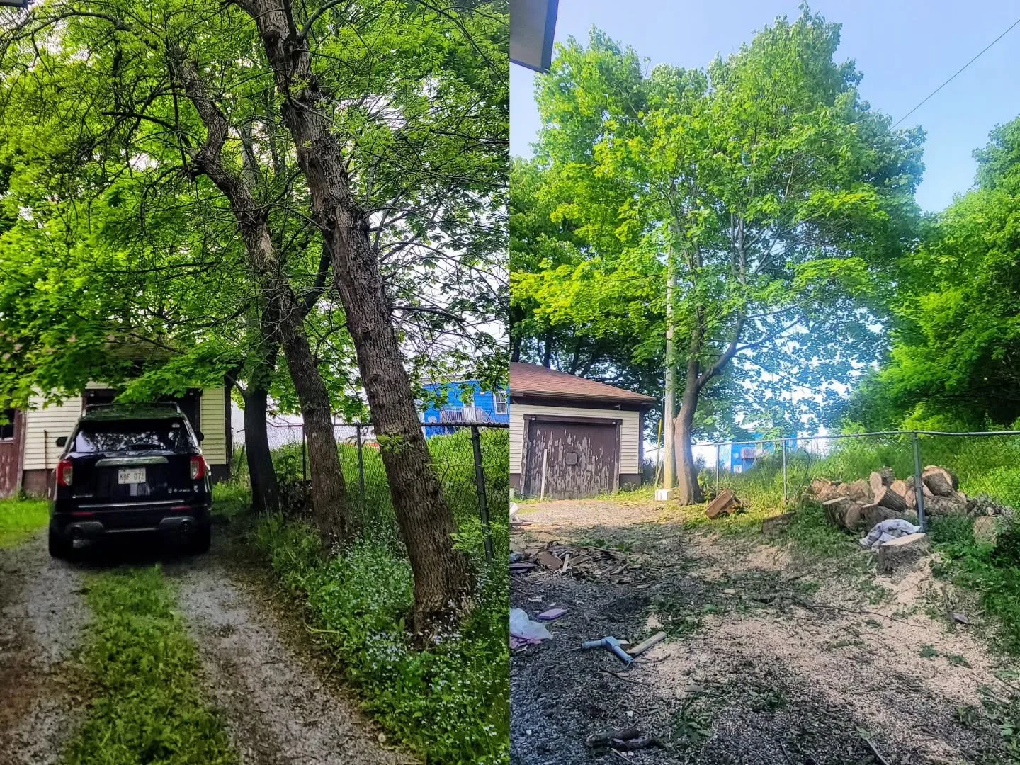 A few comparisons "before and now" to remember how the process was going. 1. The trees have been removed, 2. The appliances wall in the basement is finished. 3. The basement bathroom is done.
#bggeorge
#rentalhome
#saintjohnnb