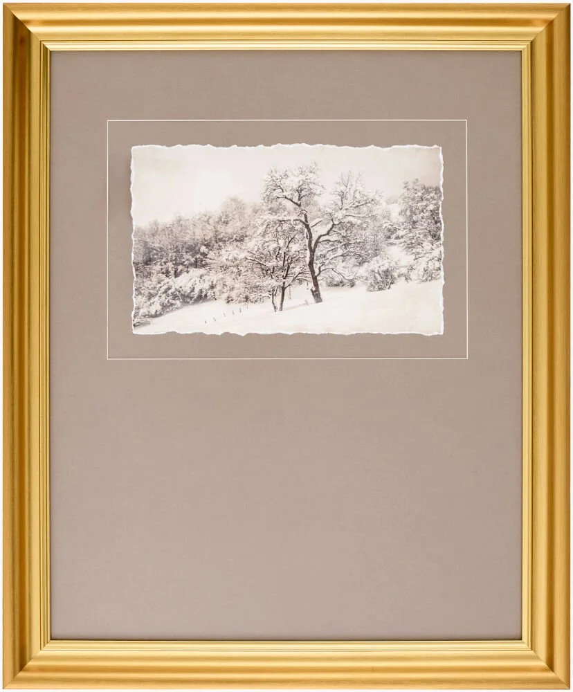 Black and white photograph of snow-covered trees in a winter landscape, framed in a gold-colored frame with a beige mat.