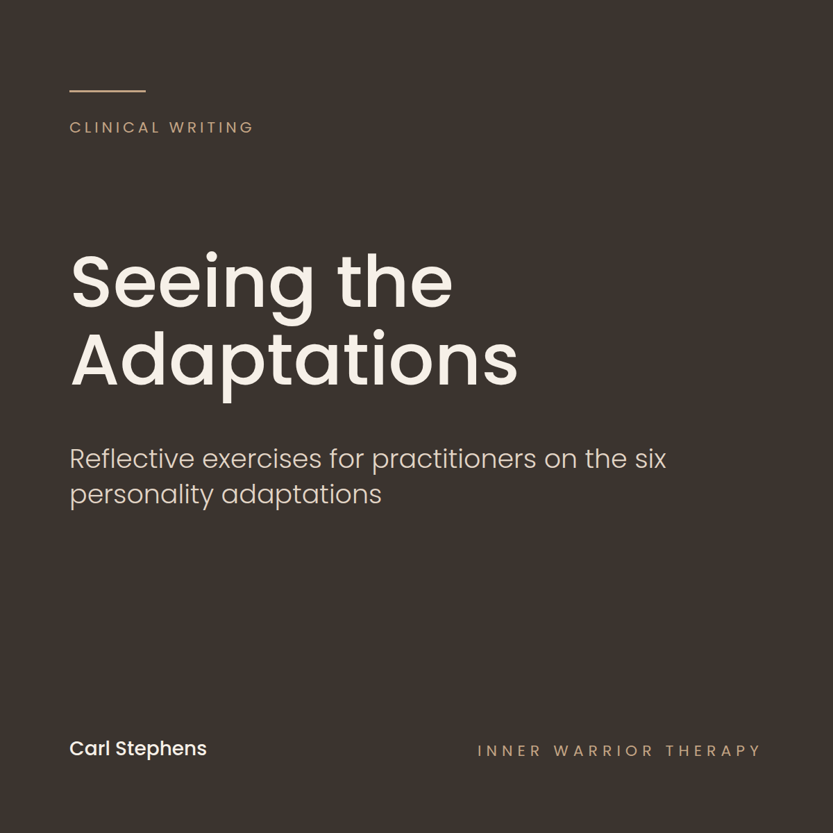 Seeing the Adaptations: Reflective Exercises for Practitioners