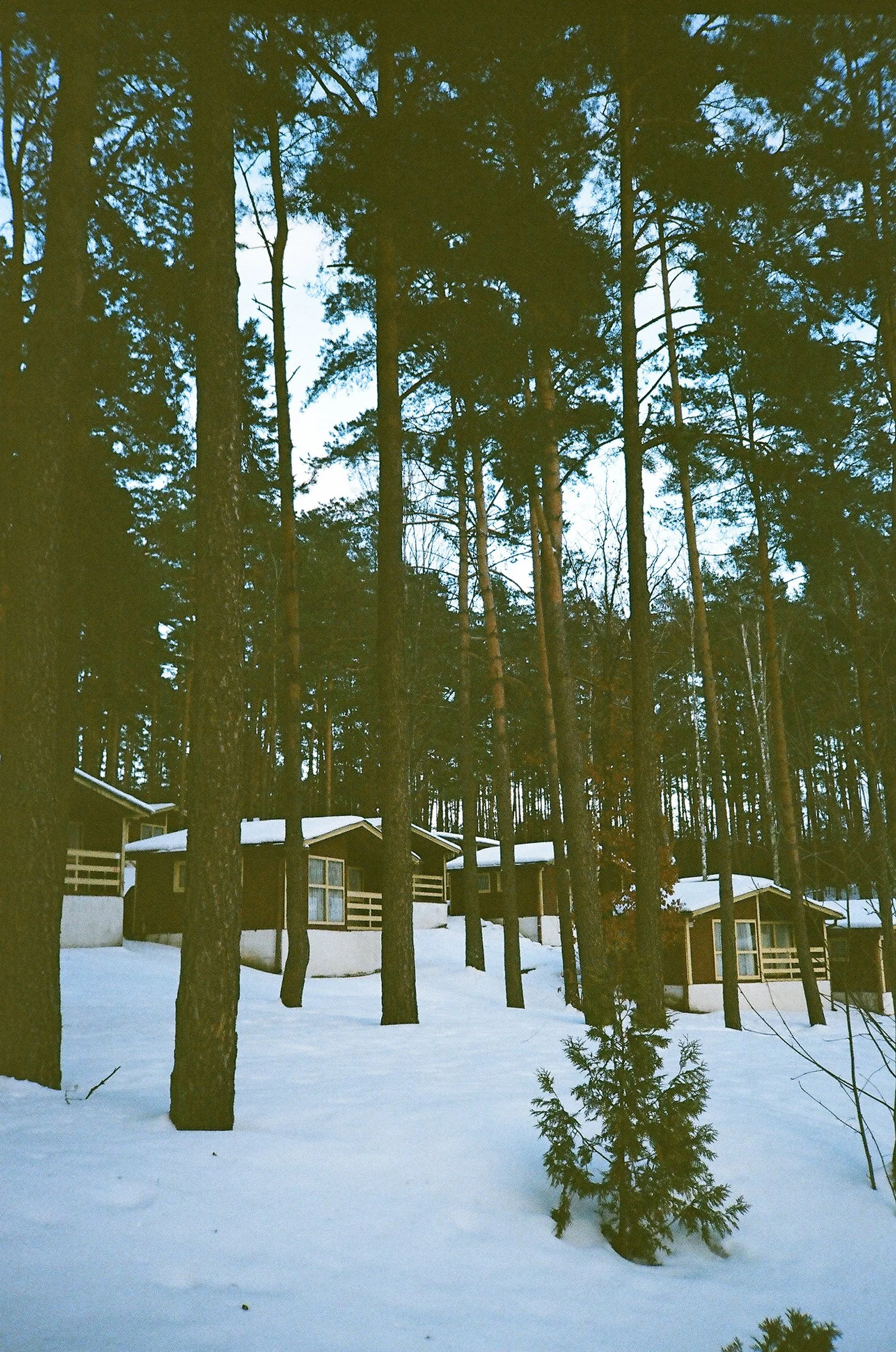 17680032.JPG