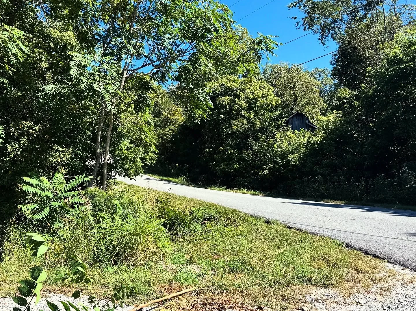 Before and After! 

The driveway got a much needed upgrade and hopefully we were able to make it safer for drivers coming around that sharp curve. Much more open line of sight than before! 

Thank you to @cboyd8 and @tsclausing for clearing it out 🙌