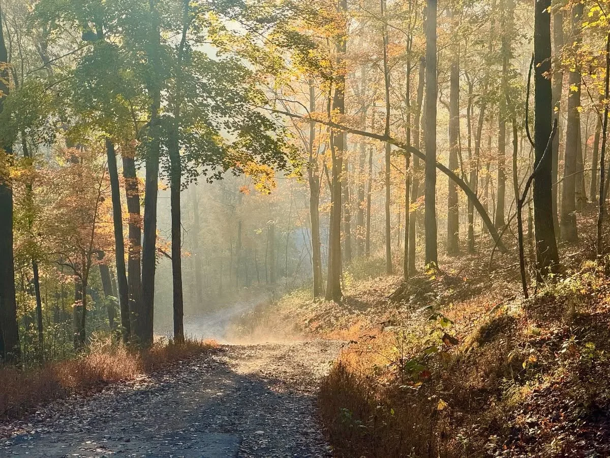 November dawns upon us as the earth unveils a new and colorful splendor!