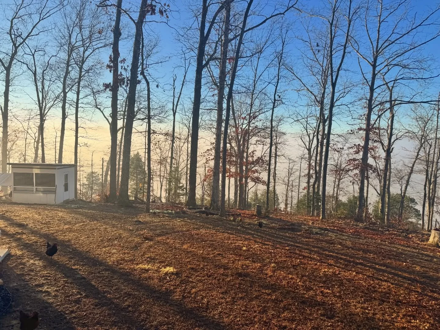 Sometimes it&rsquo;s easy to get bogged down in the work of keeping this place running and I forget how far we&rsquo;ve come in just 6 years. 
I dreamed about more land so that I could expand my equestrian therapy business. 
We went from 7 to 35 acre