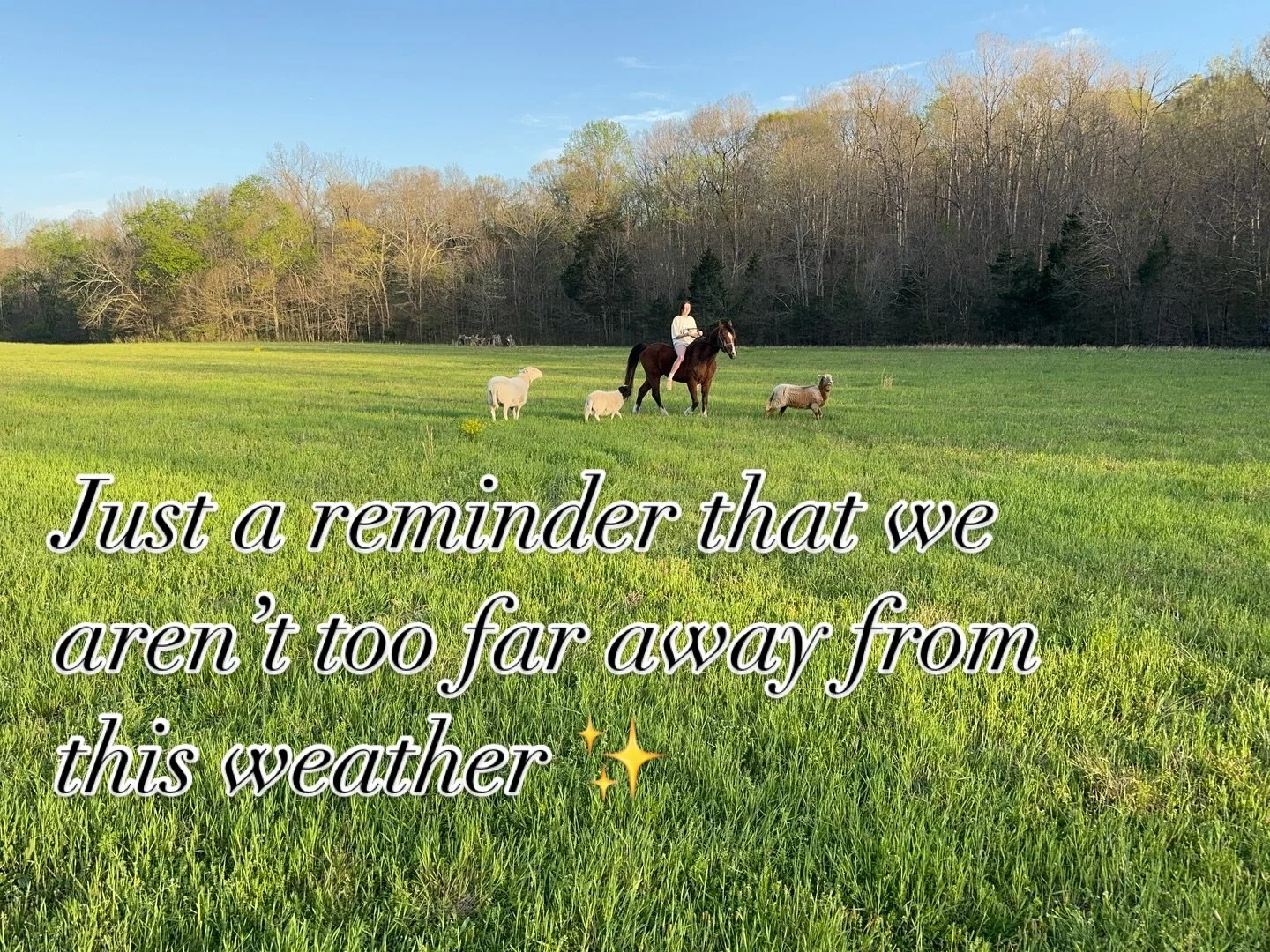 We&rsquo;re so close to warmer weather, green grass and no snow!🙏🏼