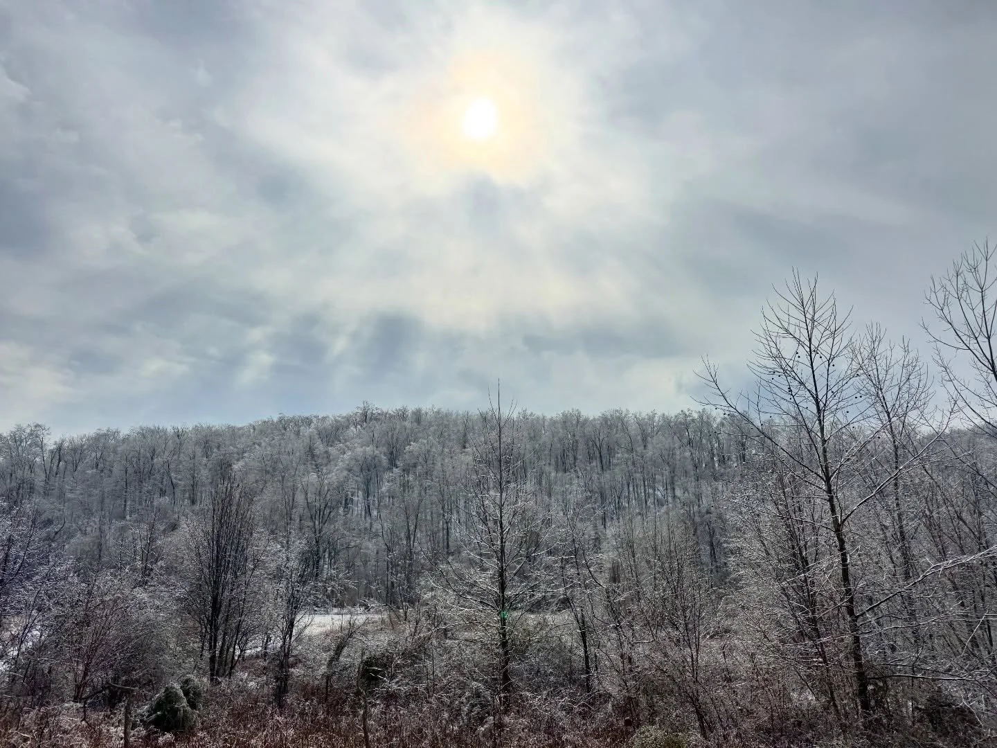 We were able to get out today using our 4X4 and deliver groceries to mom. 
It was breathtaking how beautiful it was. Pictures don&rsquo;t begin to do it justice! But it is unbelievable the destruction the beauty brought. And we didn&rsquo;t get hit a