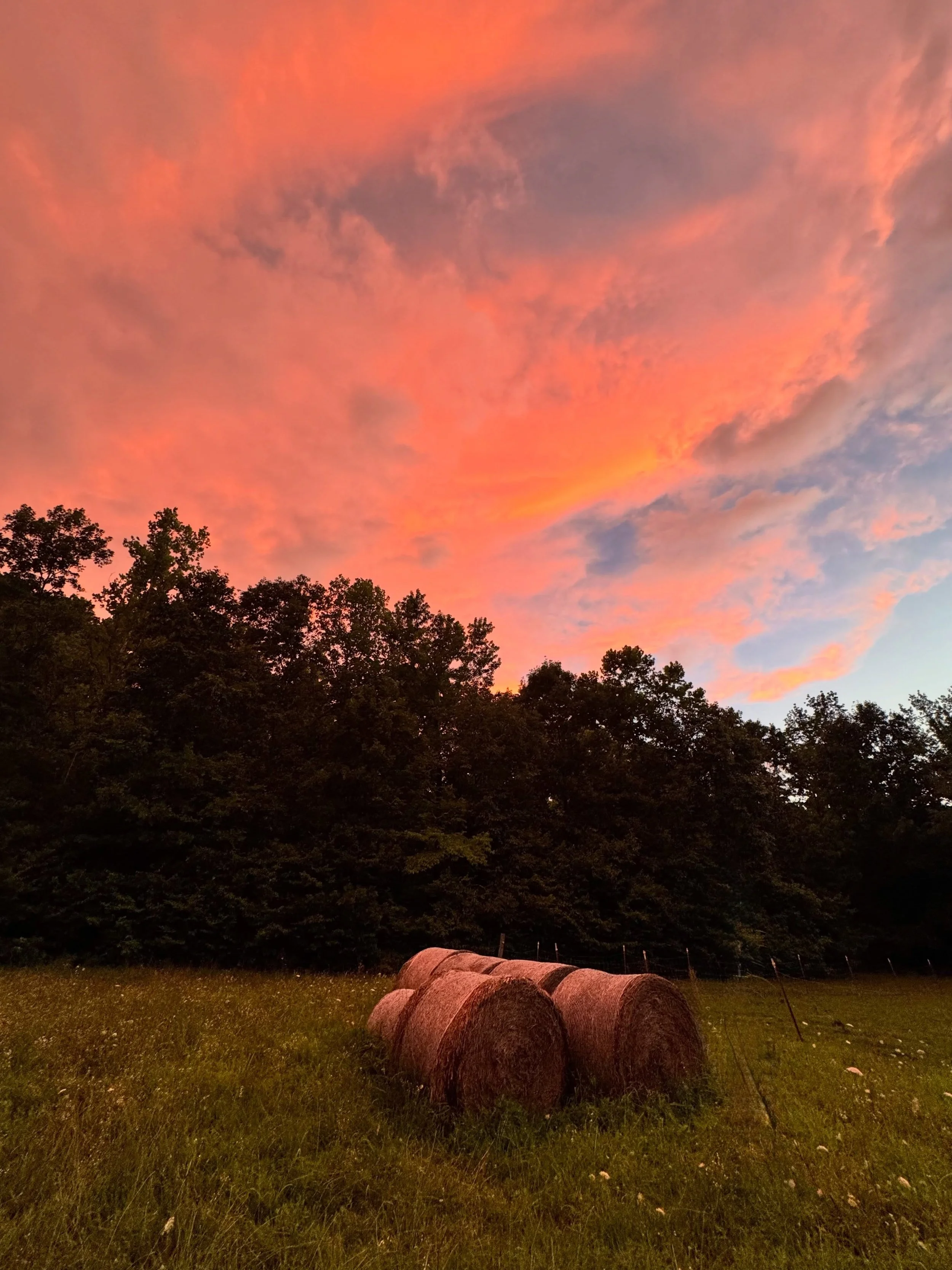 Summer sunsets are my favorite!