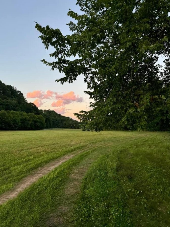 Steadfast Haven Field