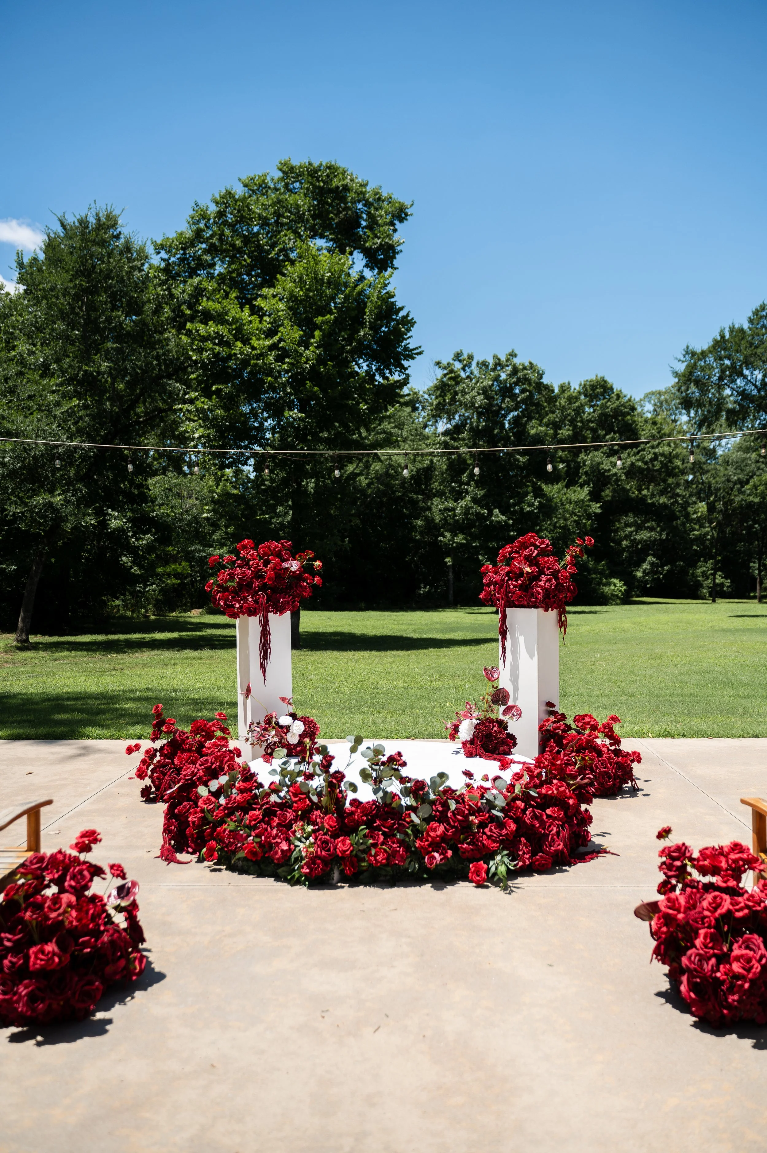 DSC_4312.jpg