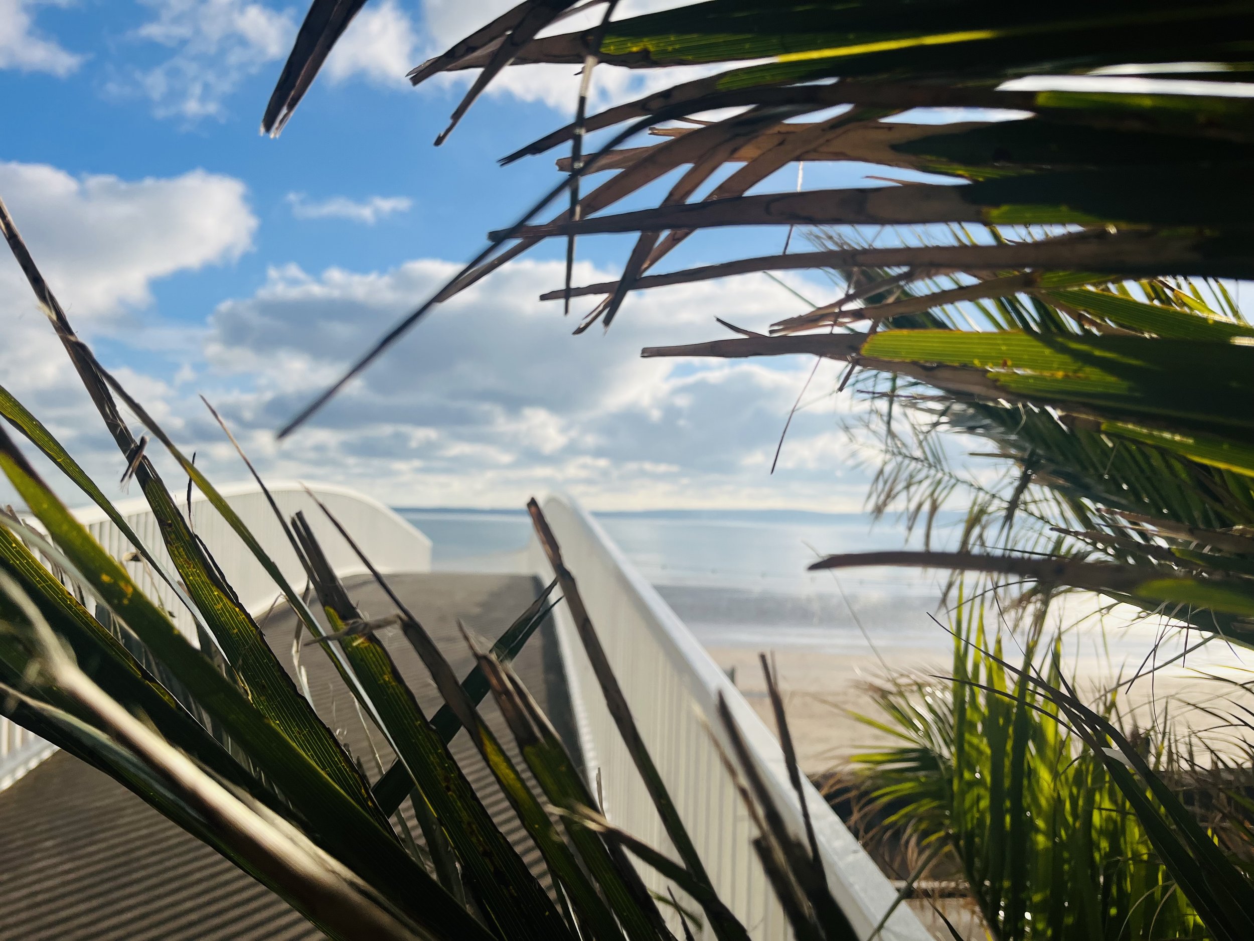 Where to Stay in Torquay for Group Getaways