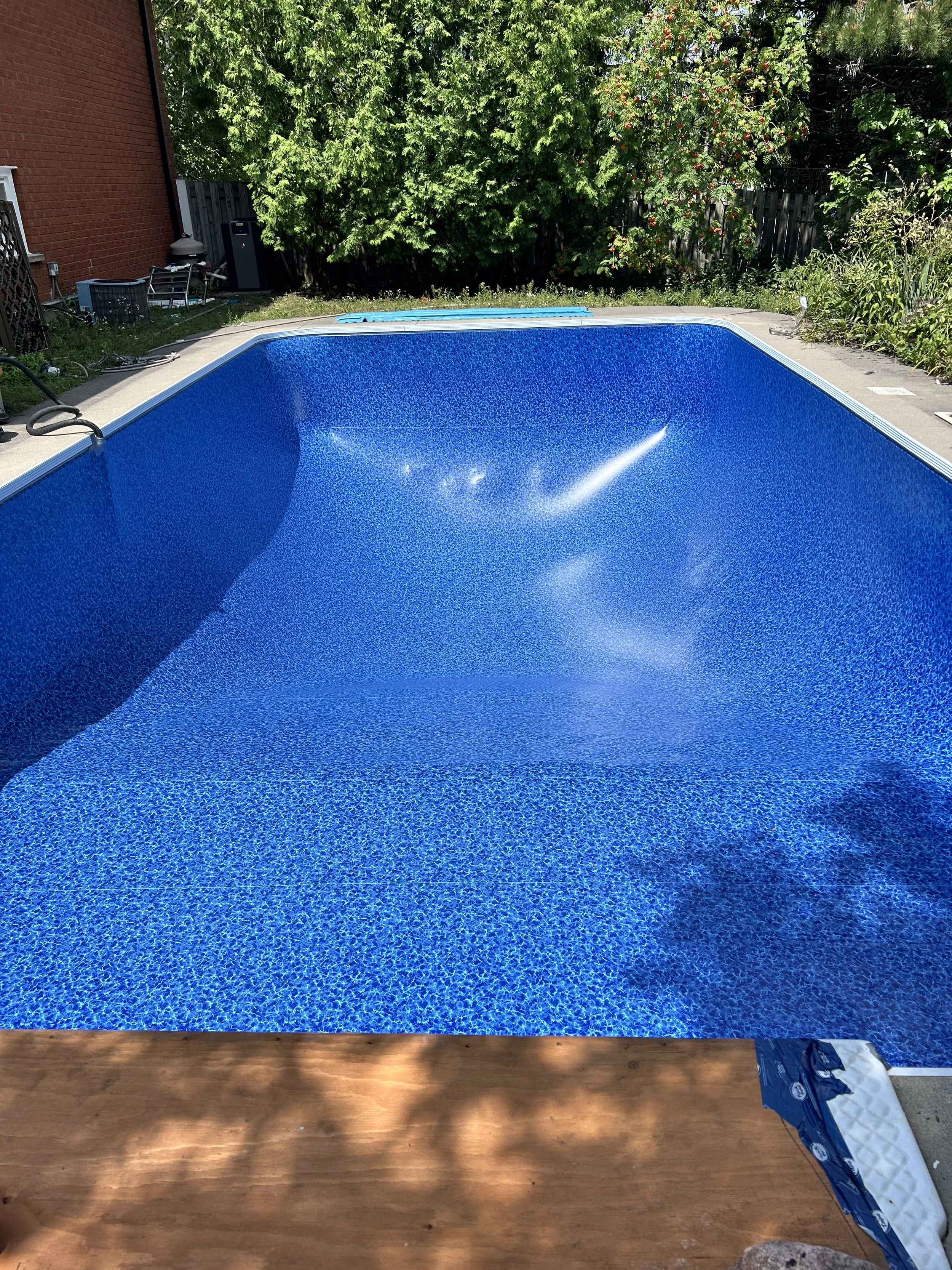 Empty swimming pool with blue interior, surrounded by greenery and patio area in a backyard.