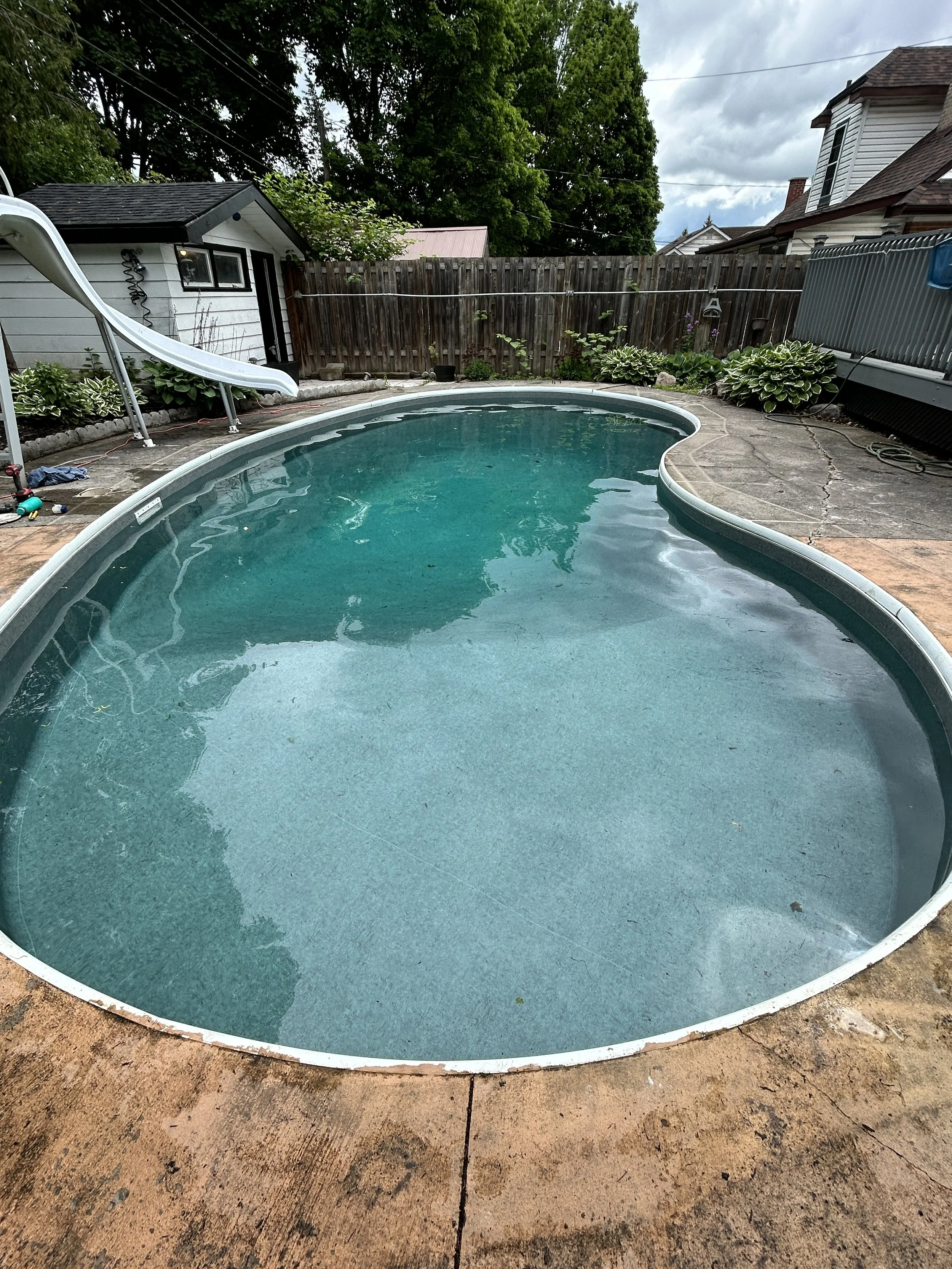 A backyard swimming pool with clear water, rounded shape, and a slide on the left side. The pool is surrounded by a concrete deck with some plants and a wooden fence in the background. A small shed and neighboring houses are also visible.