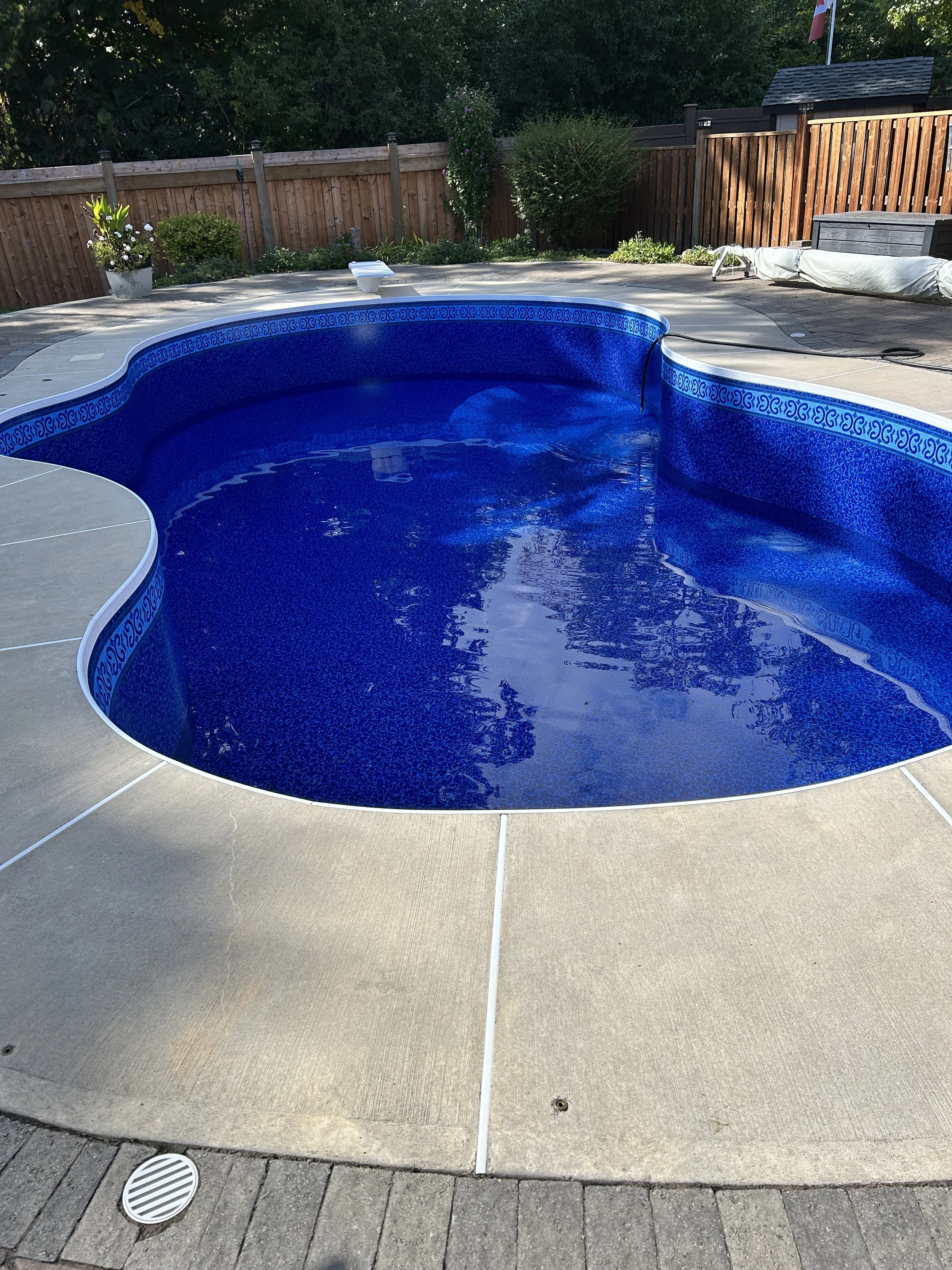 Empty in-ground swimming pool with blue interior, surrounded by beige concrete and a wooden privacy fence. The backyard has plants and trees, with a small structure covered with a tarp and a flag on a pole in the background.